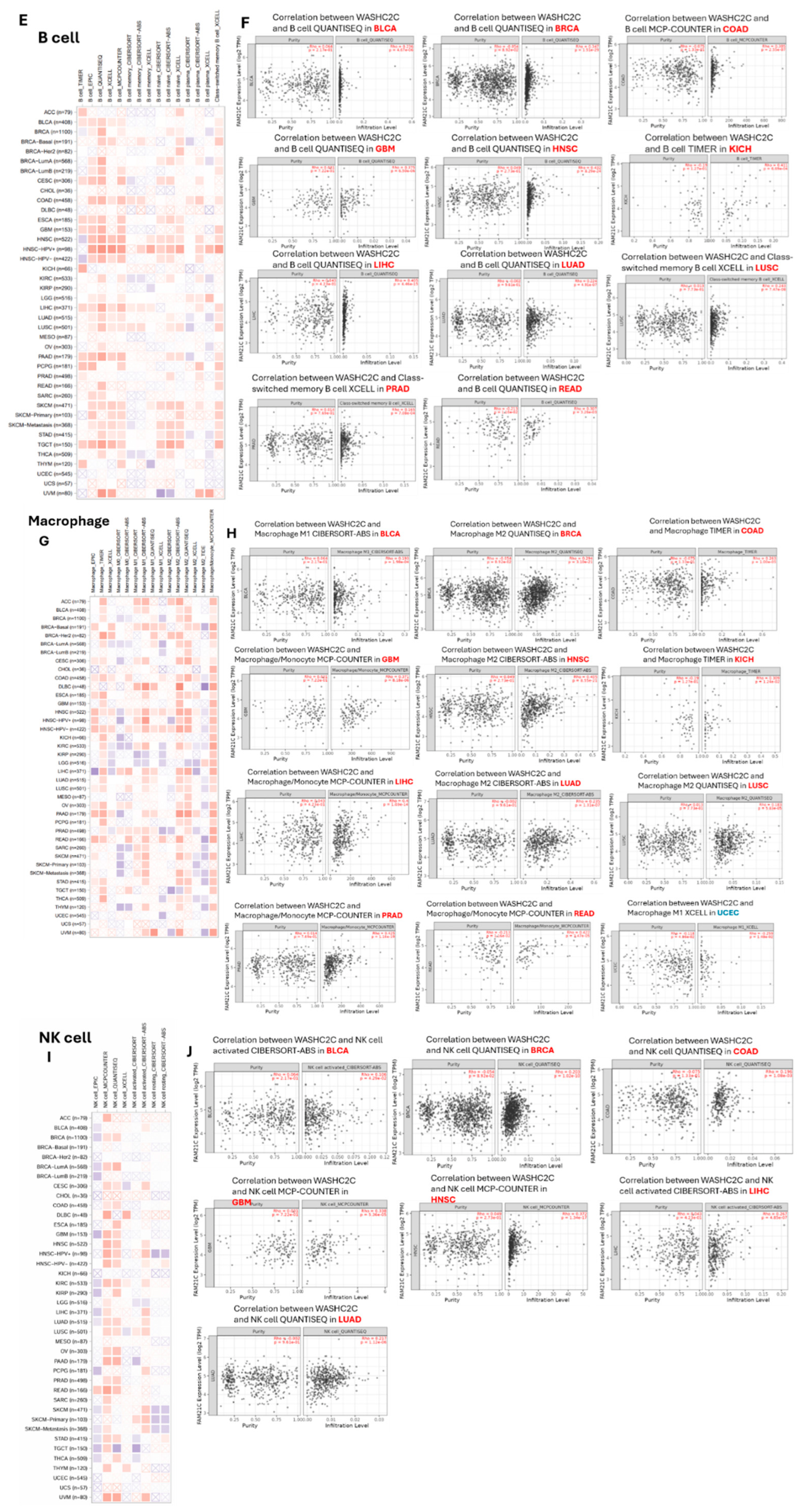 Preprints 228273 g018b Preprints 228273 g018b