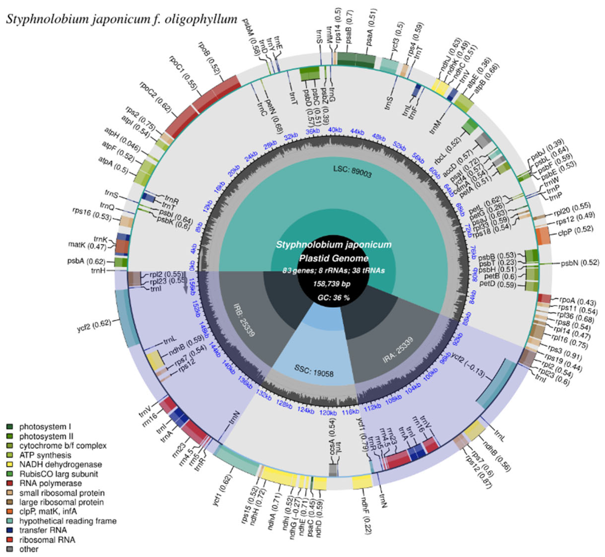 Preprints 210587 g001