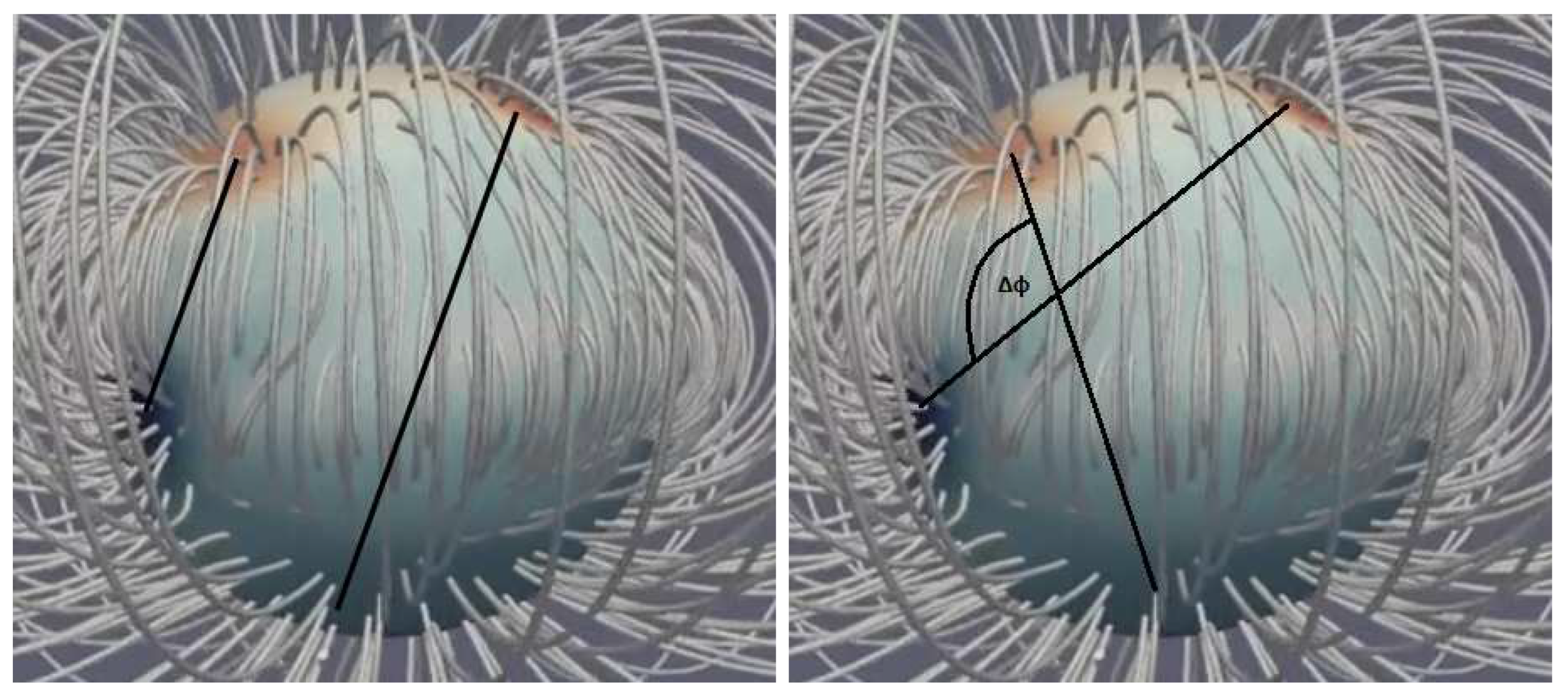 Preprints 79349 g014