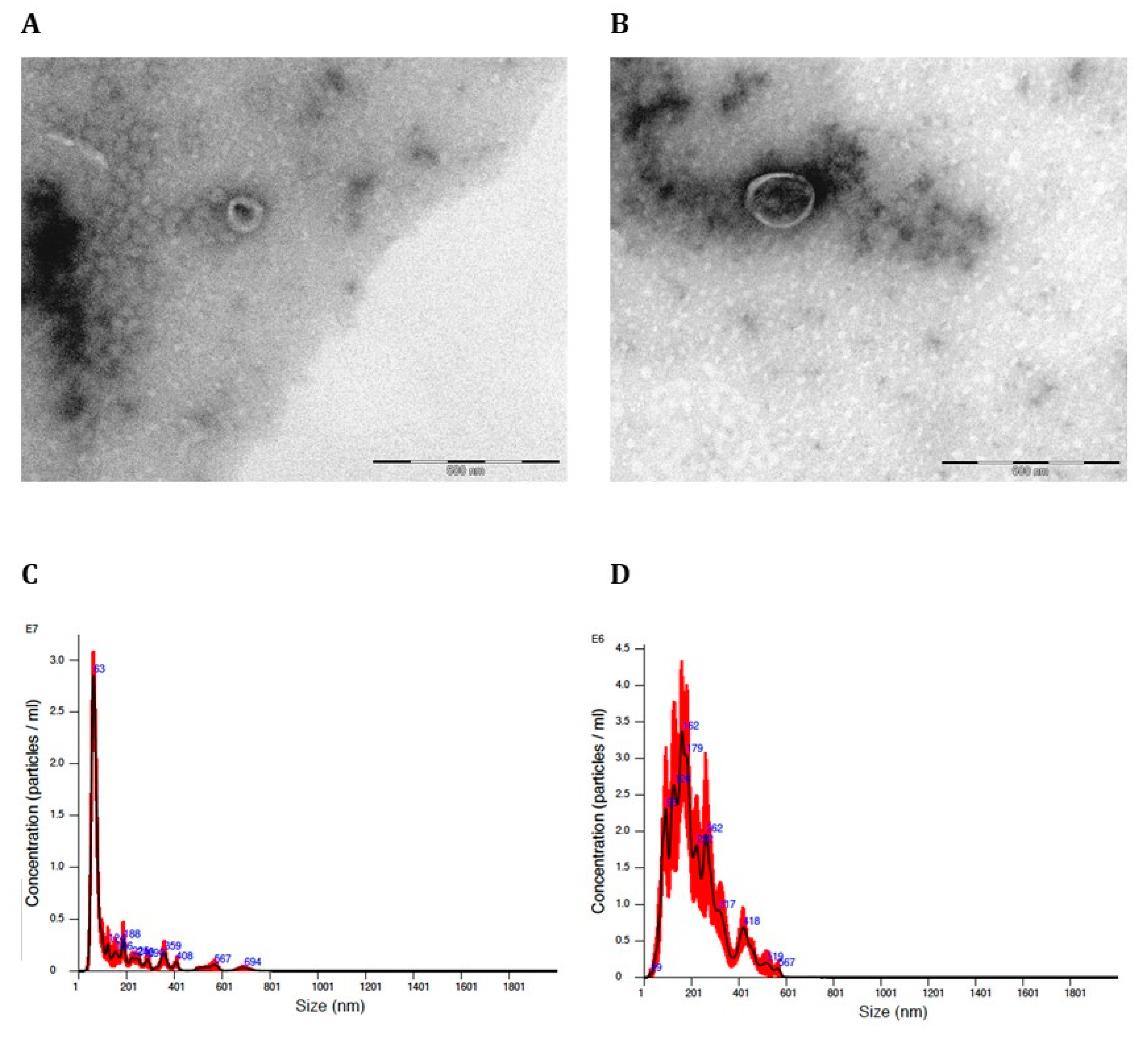 Preprints 101316 g001