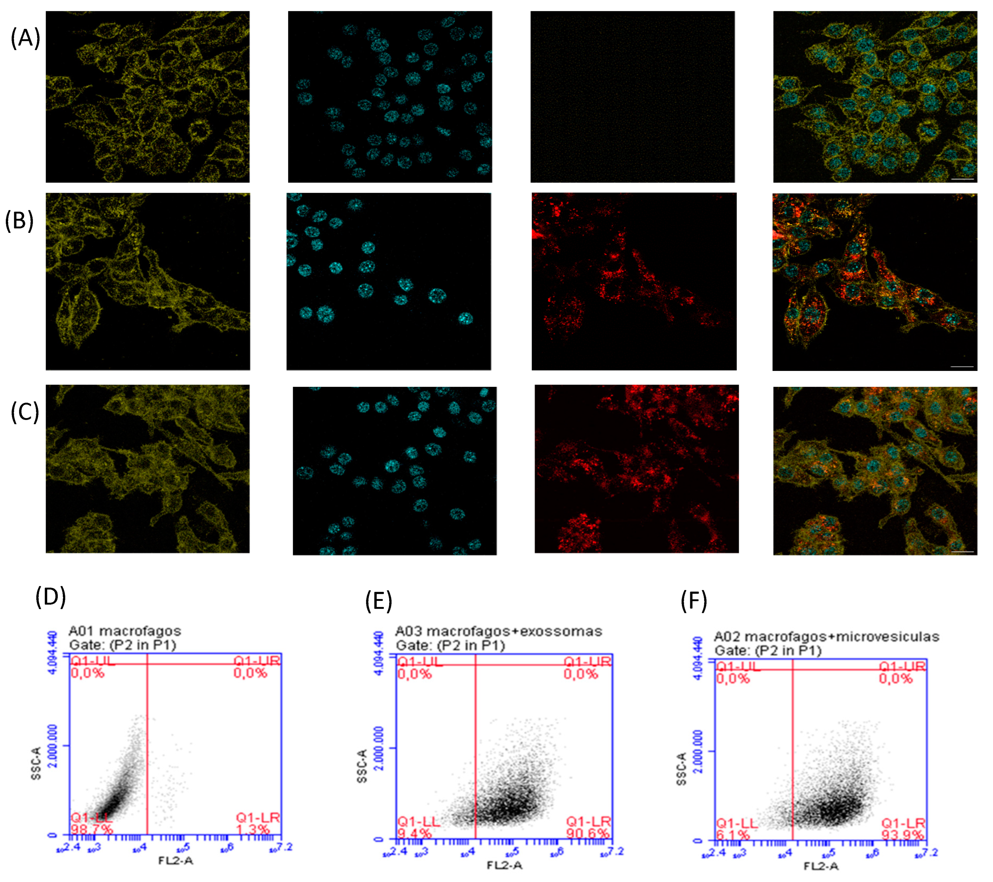 Preprints 101316 g002