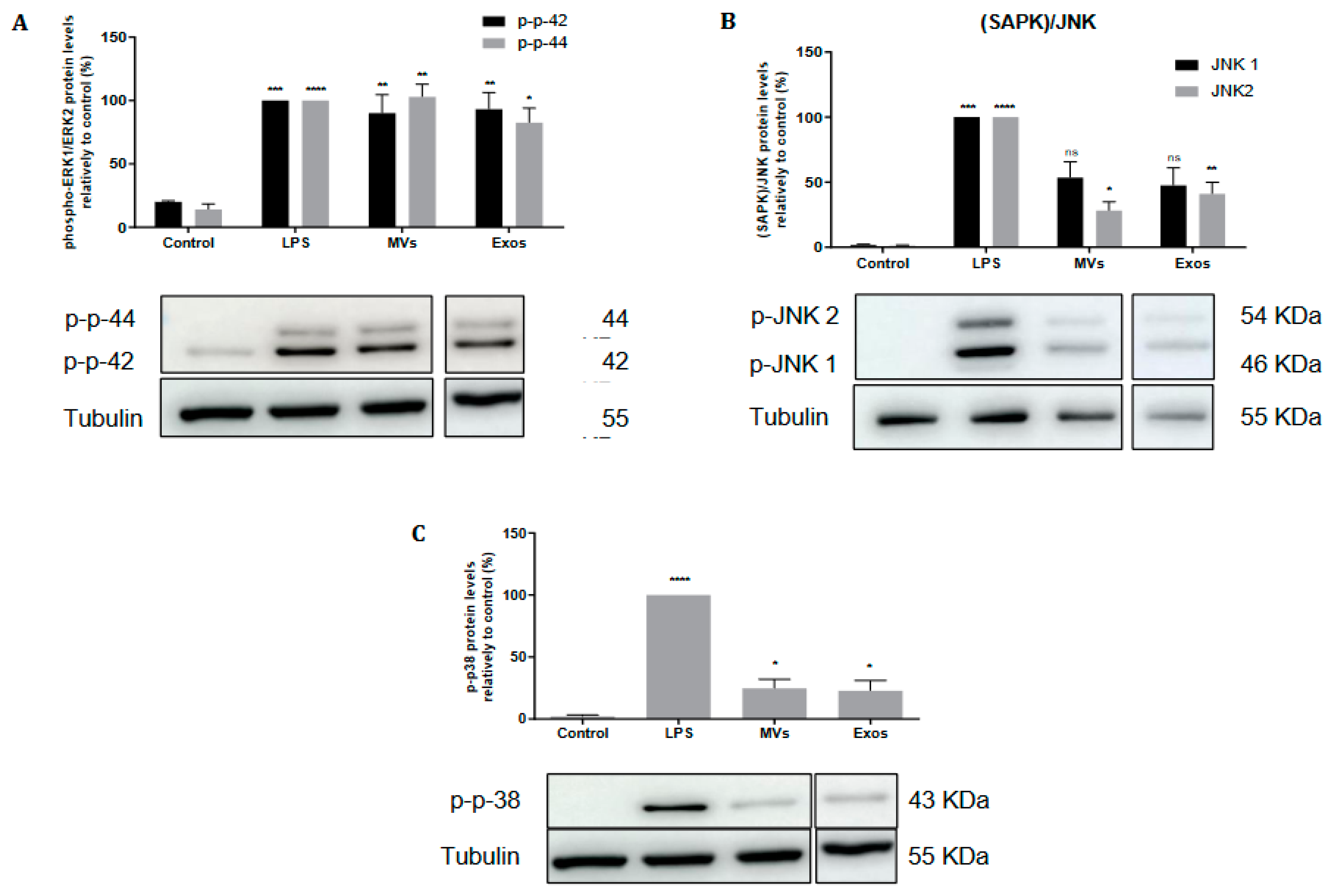 Preprints 101316 g004