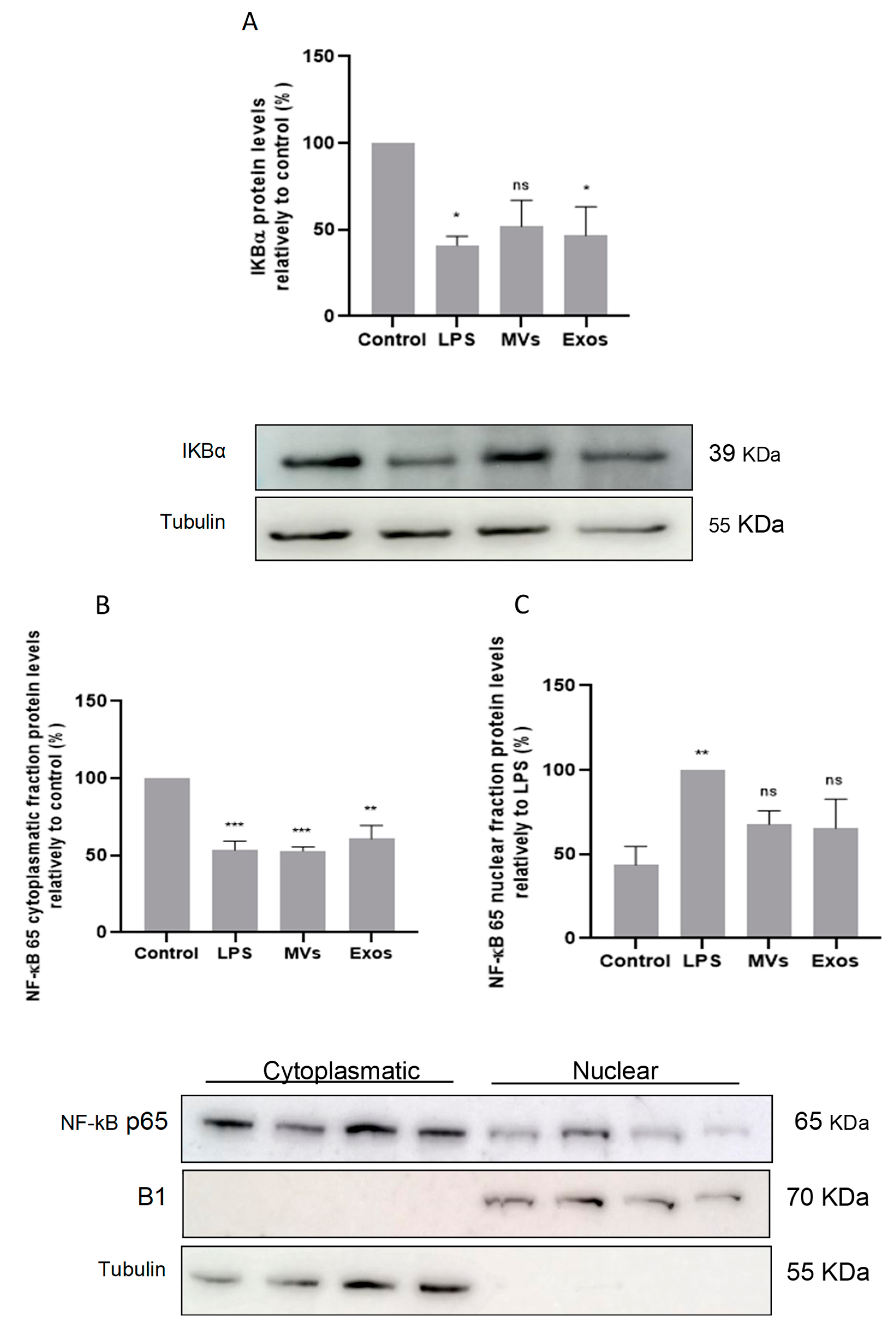 Preprints 101316 g005