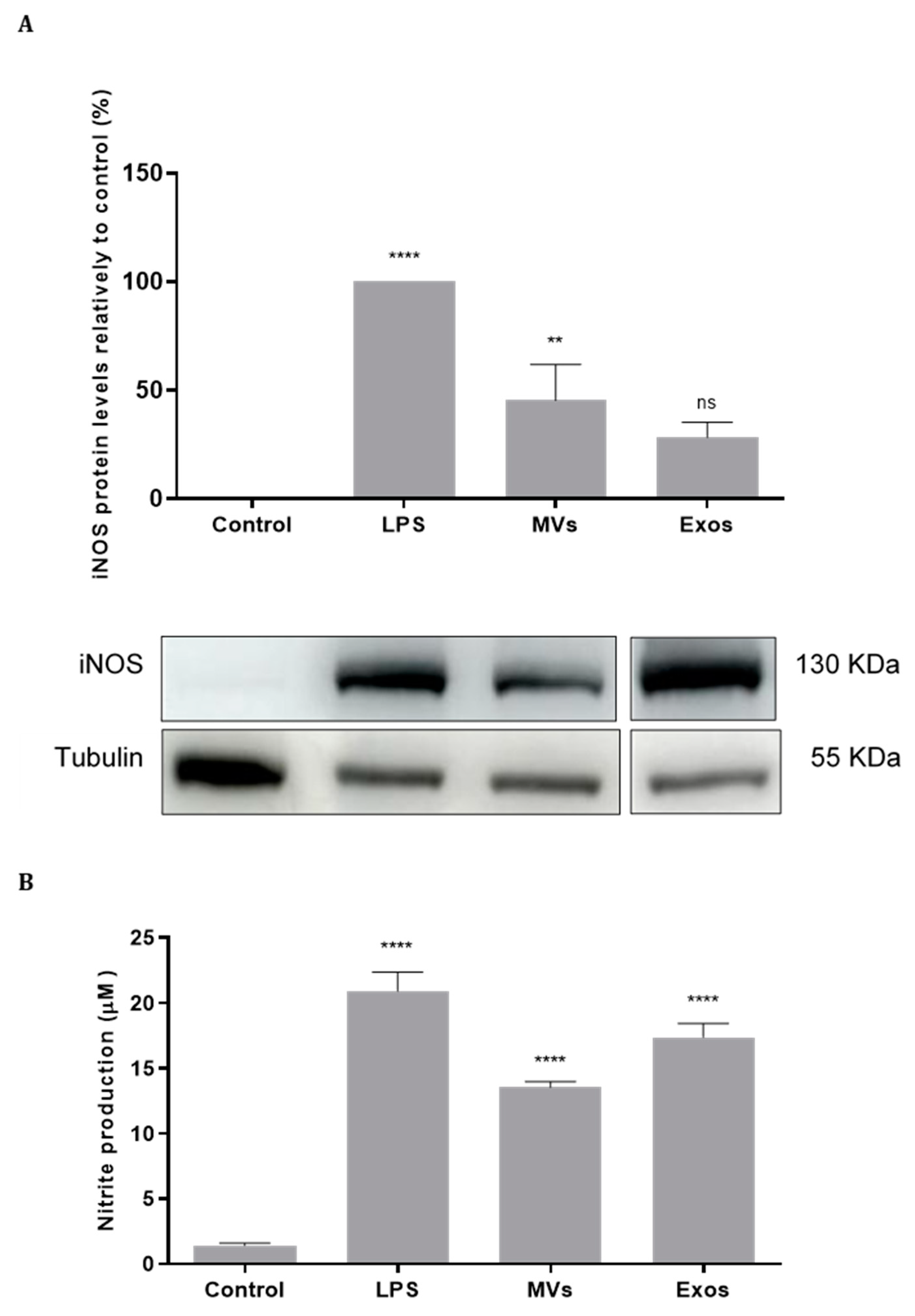 Preprints 101316 g006