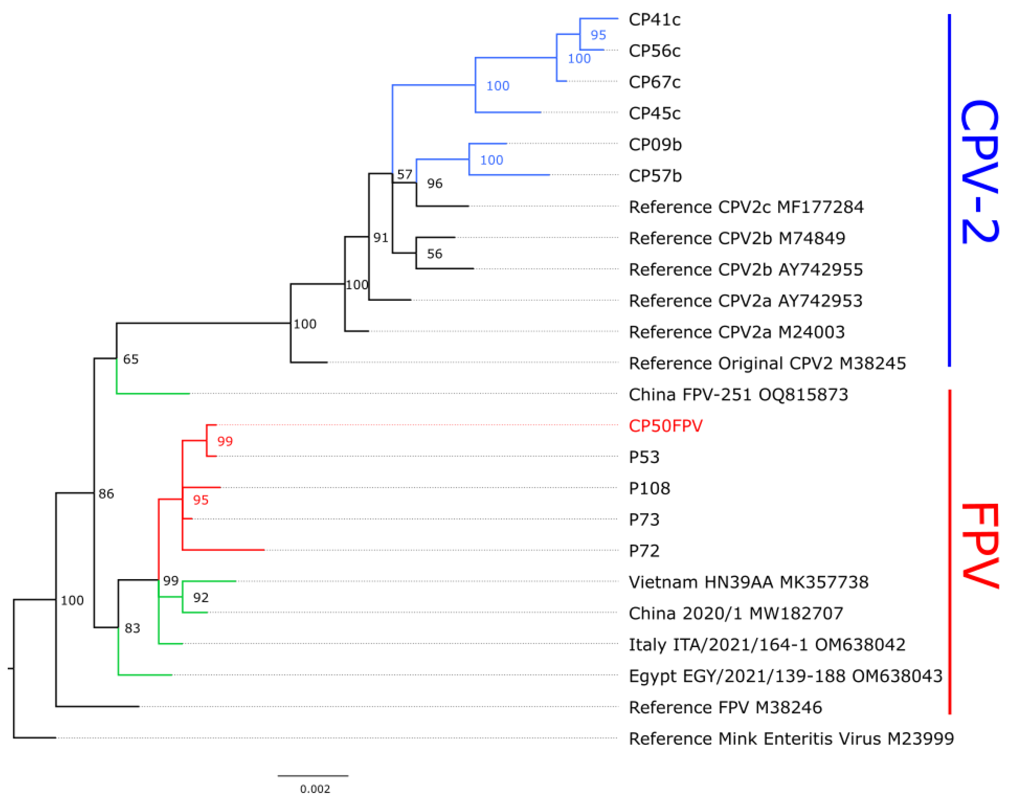 Preprints 226607 g001 Preprints 226607 g001