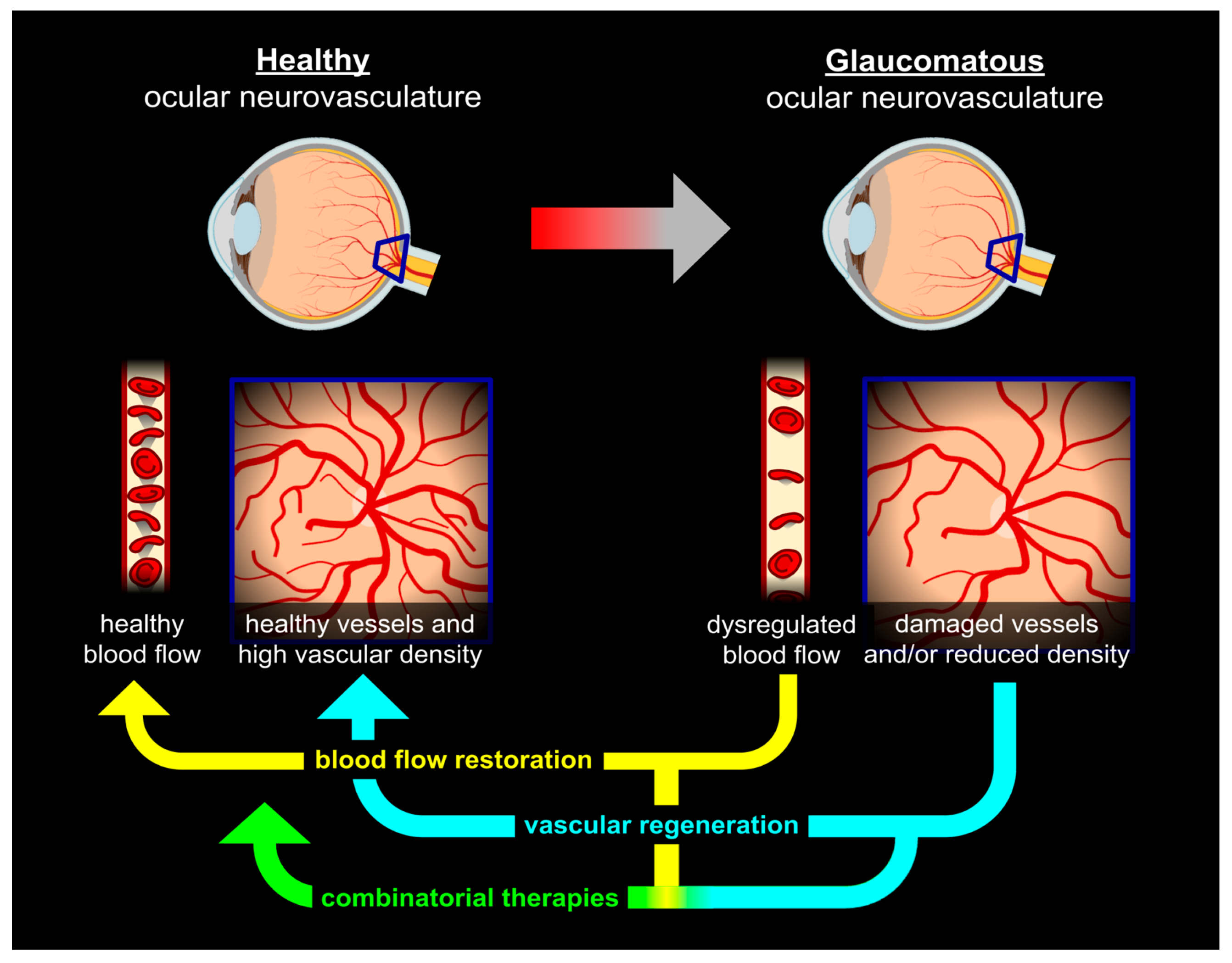 Preprints 210517 g001