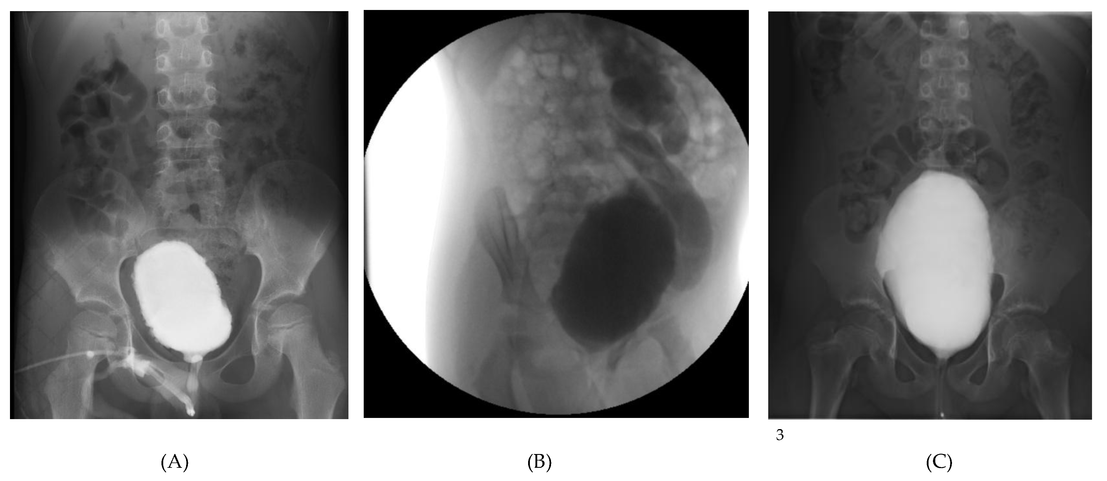Preprints 188180 g001