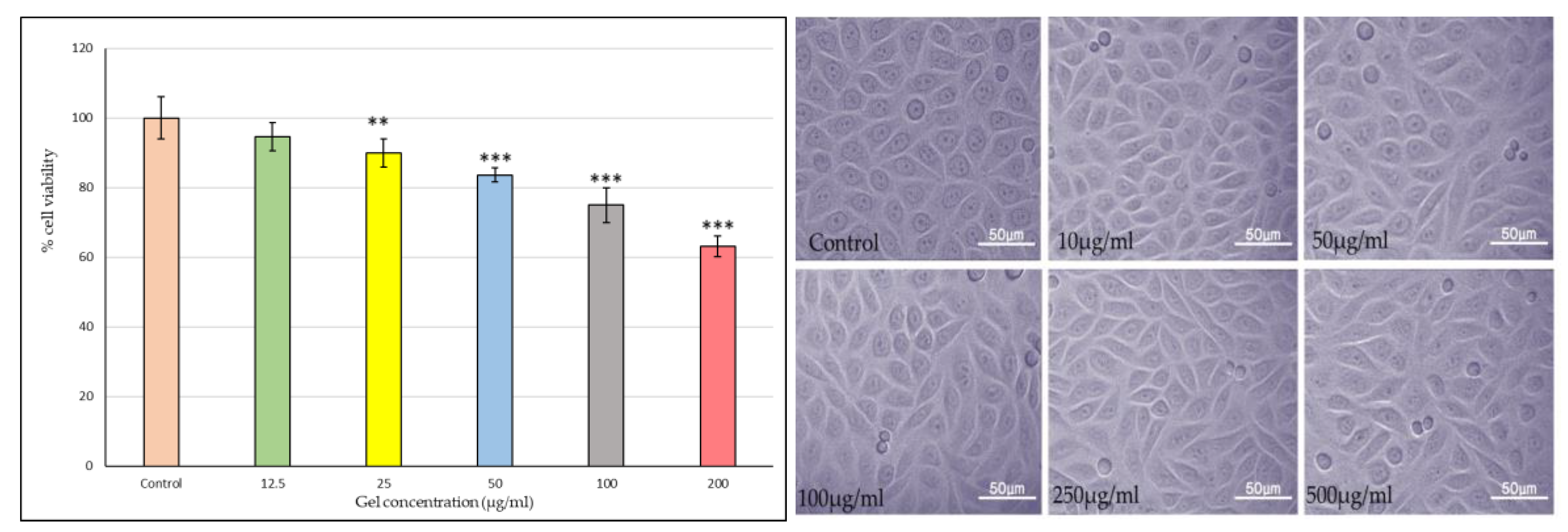 Preprints 190009 g010