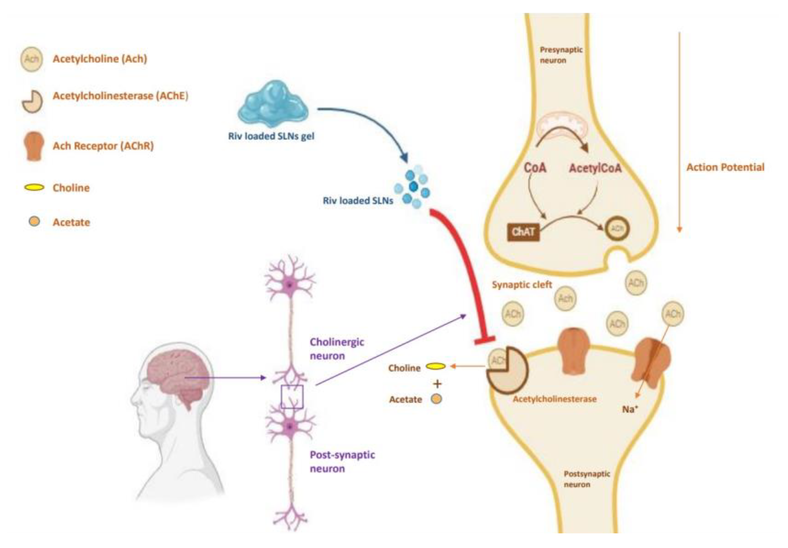 Preprints 190009 g014