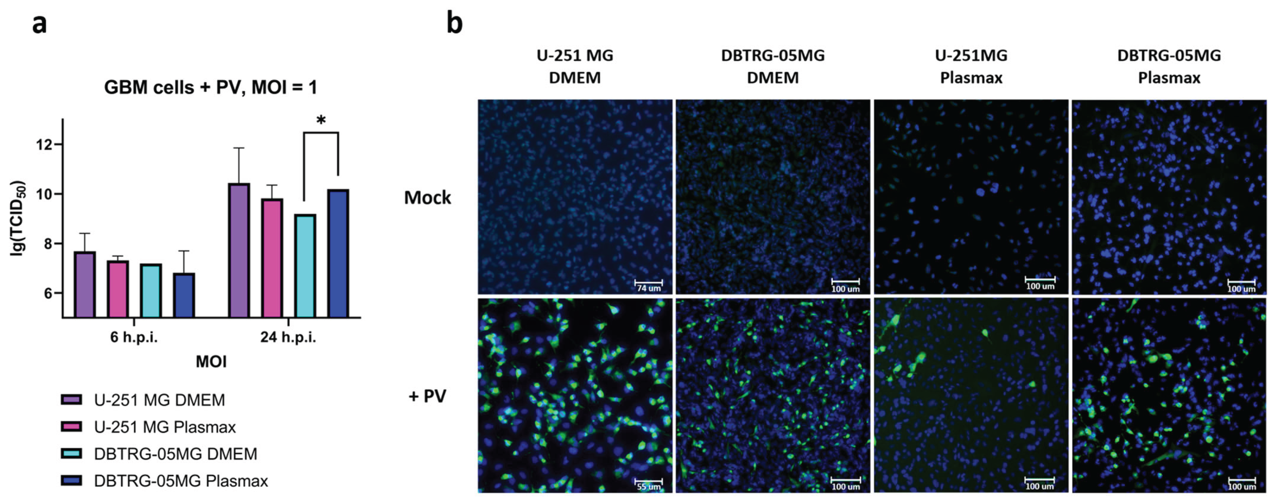Preprints 160289 g001