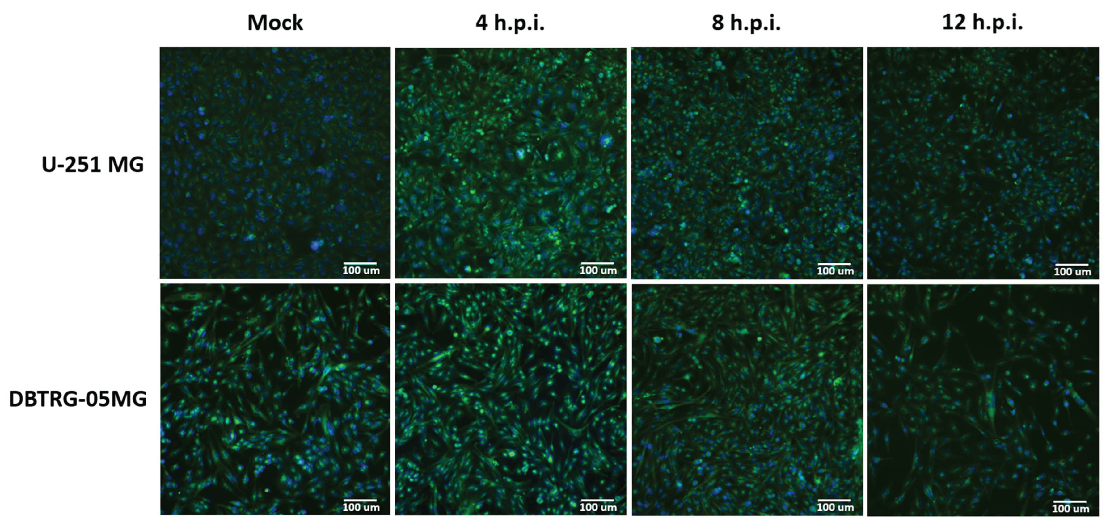 Preprints 160289 g006