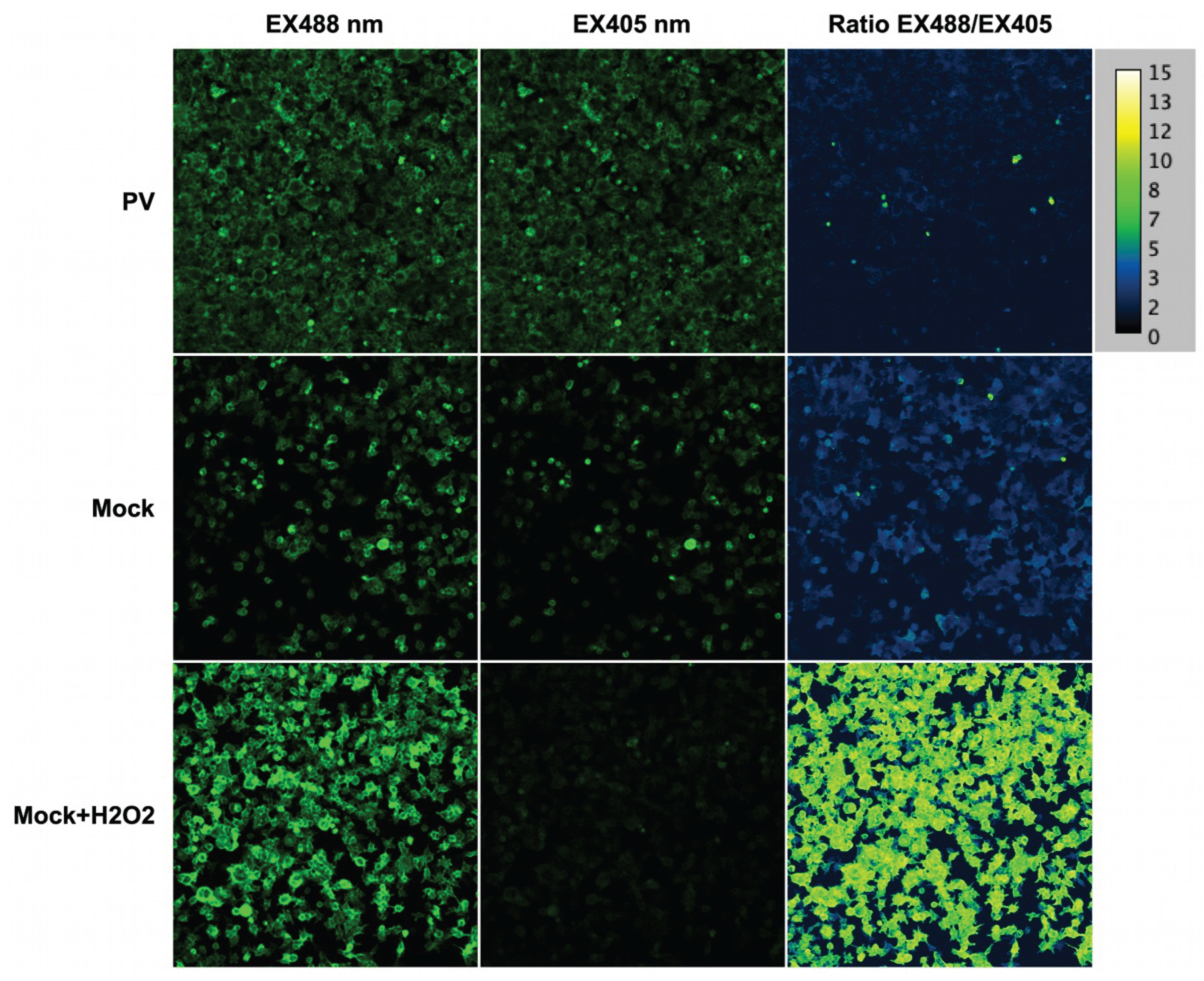 Preprints 160289 g011