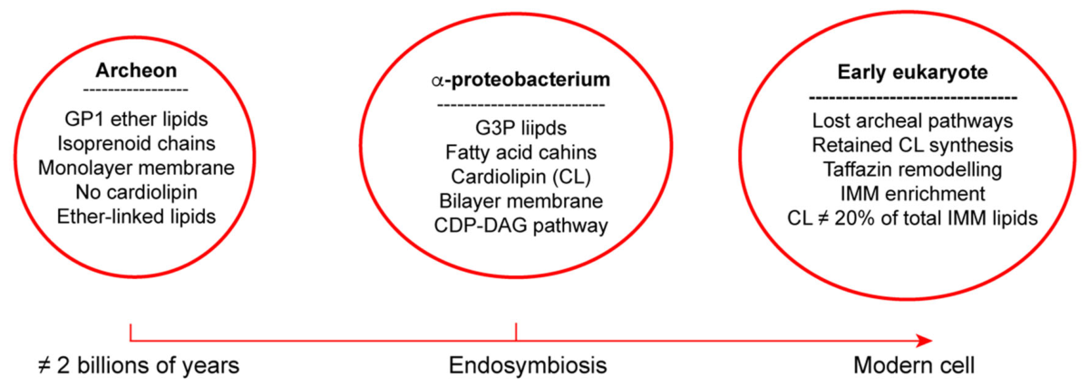 Preprints 219540 g002 Preprints 219540 g002