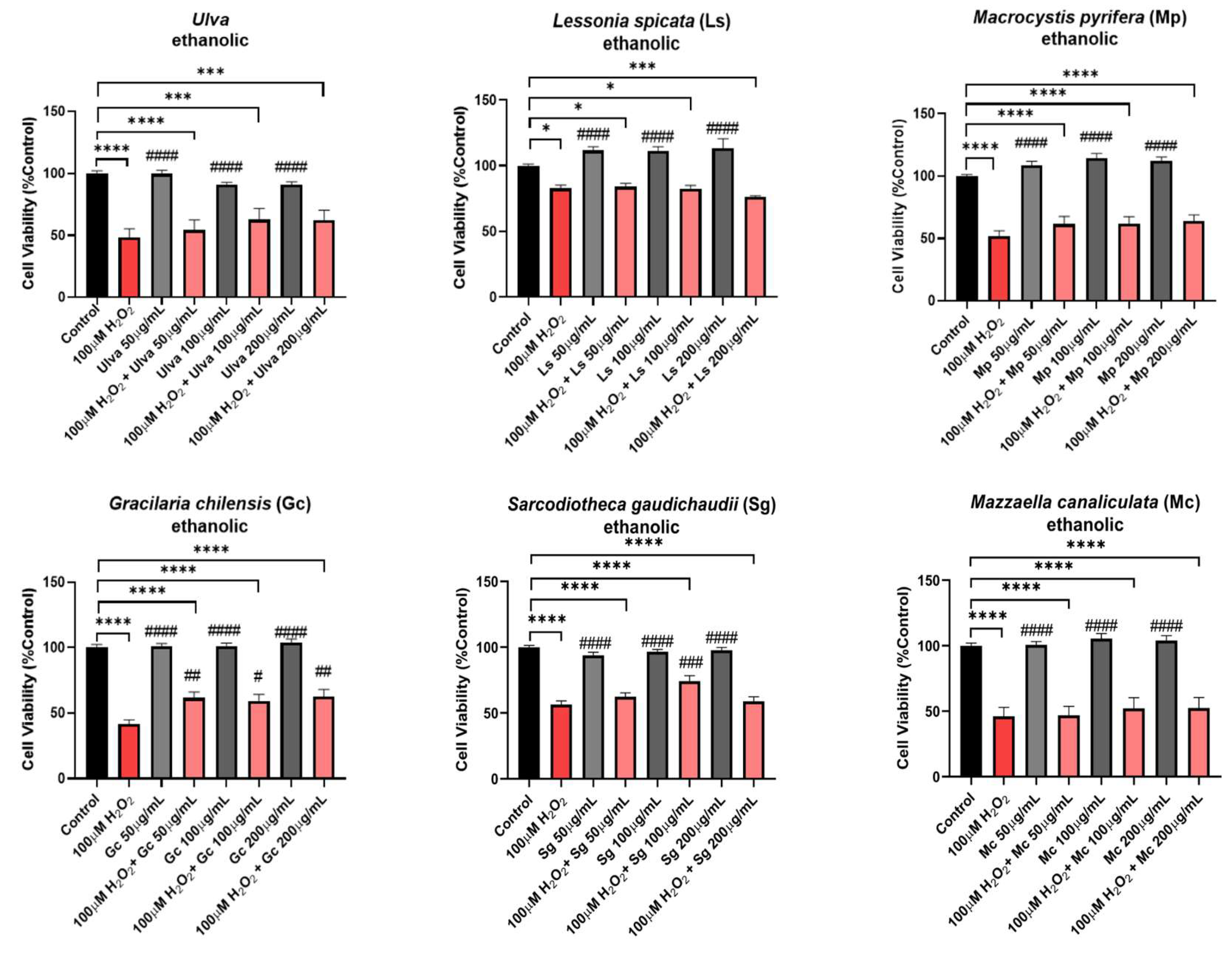 Preprints 211734 g002 Preprints 211734 g002