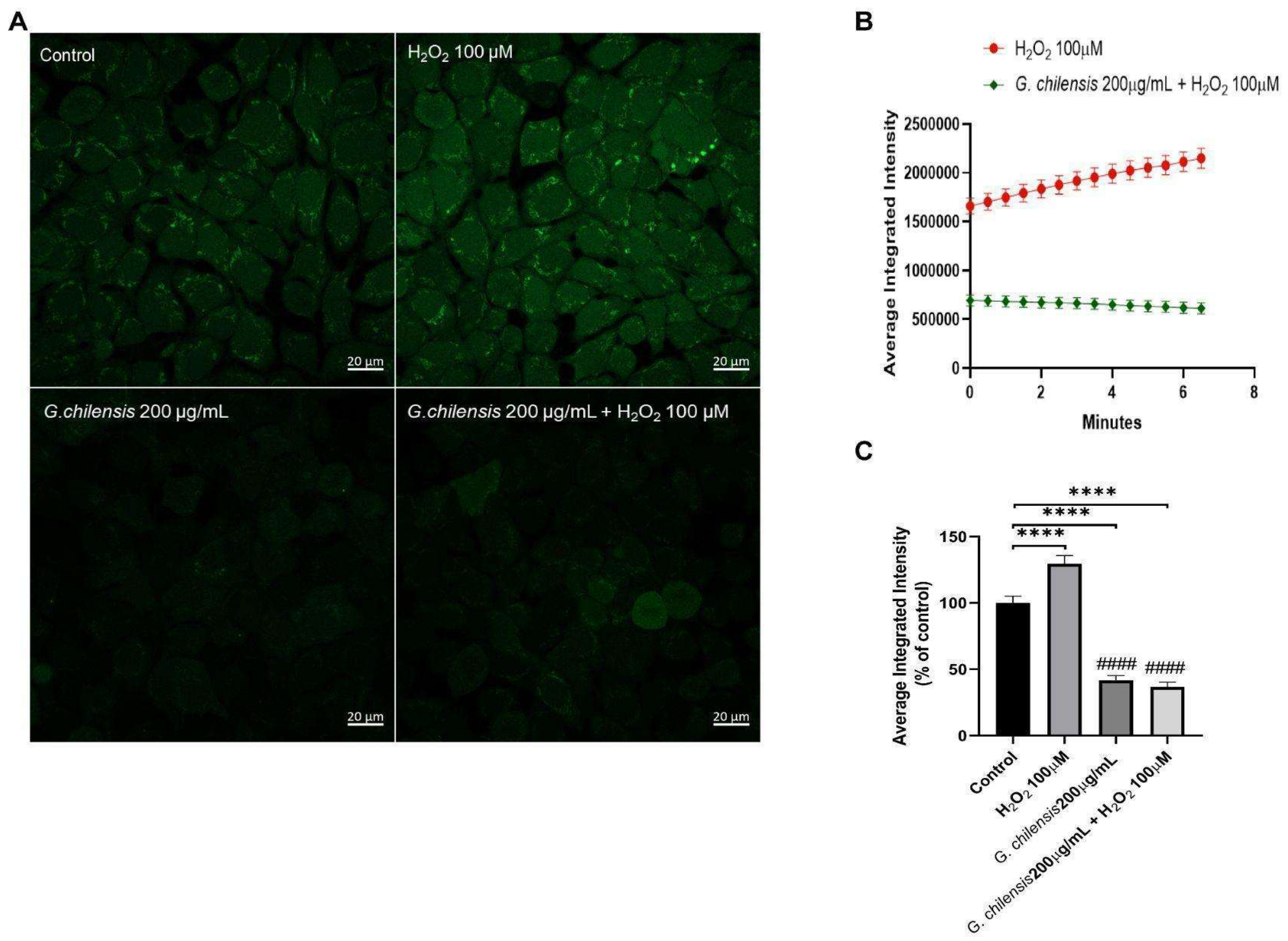 Preprints 211734 g003 Preprints 211734 g003