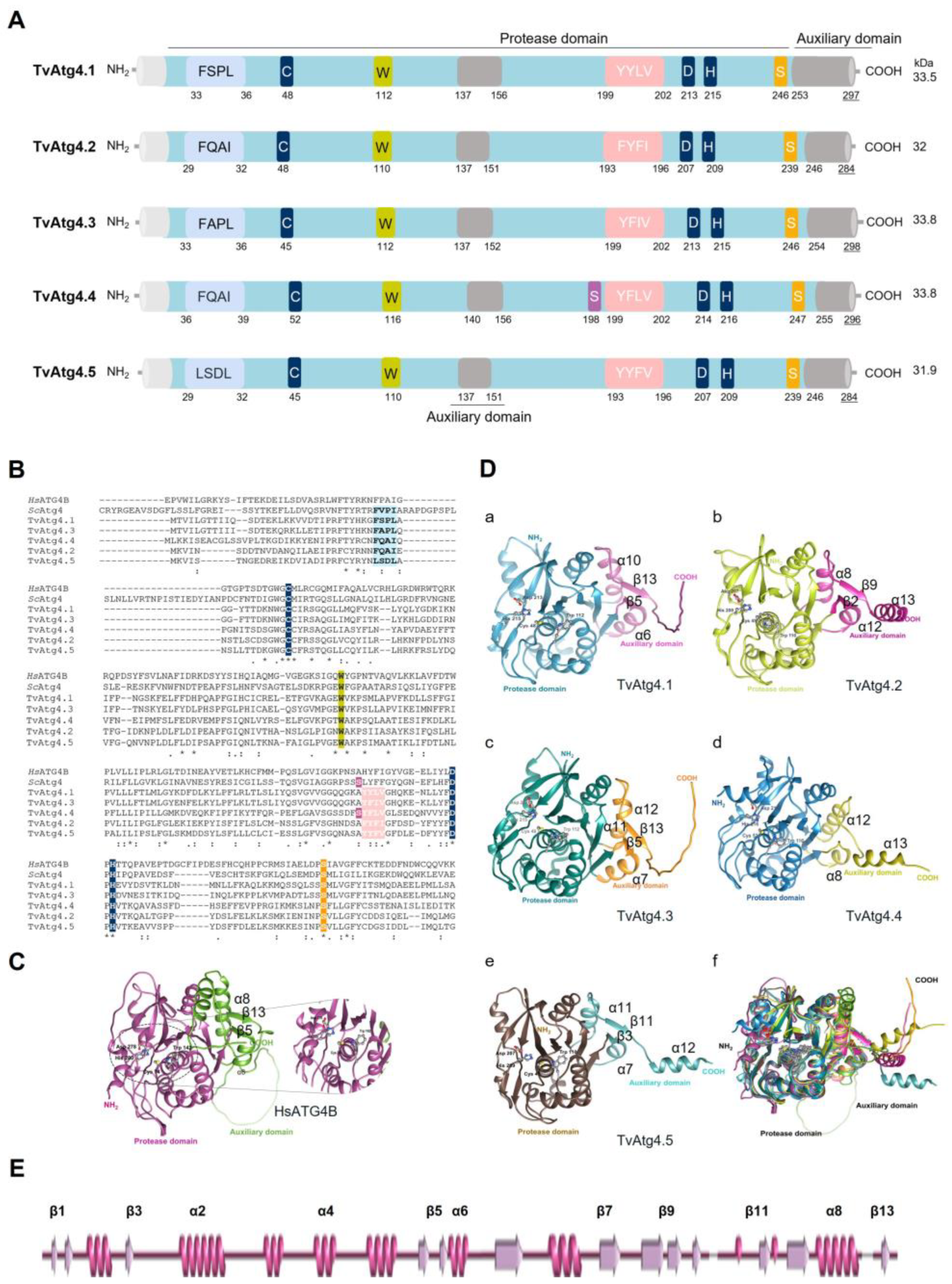 Preprints 189517 g001