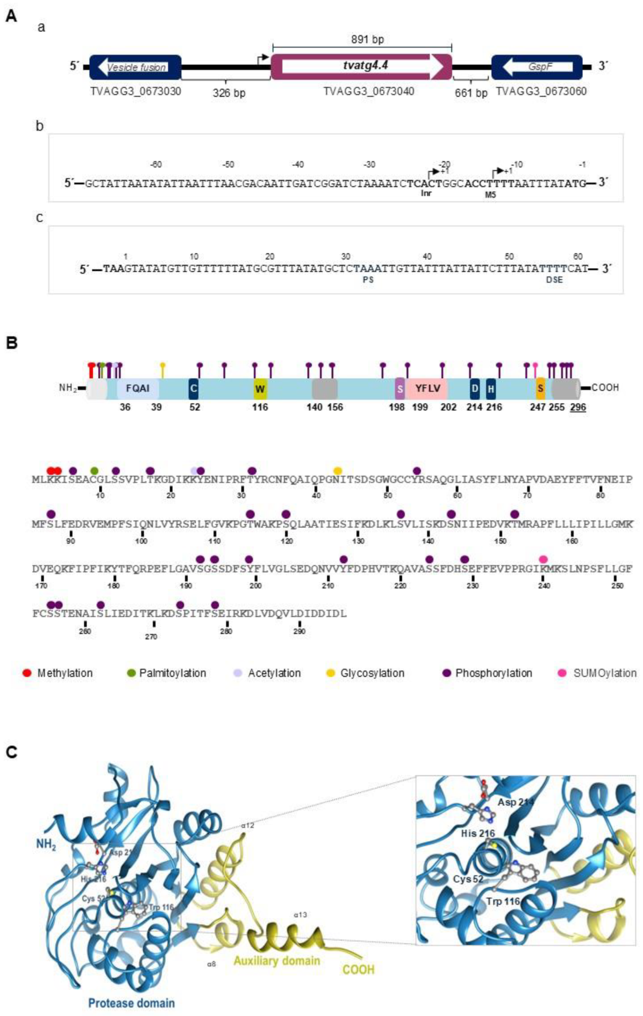 Preprints 189517 g002