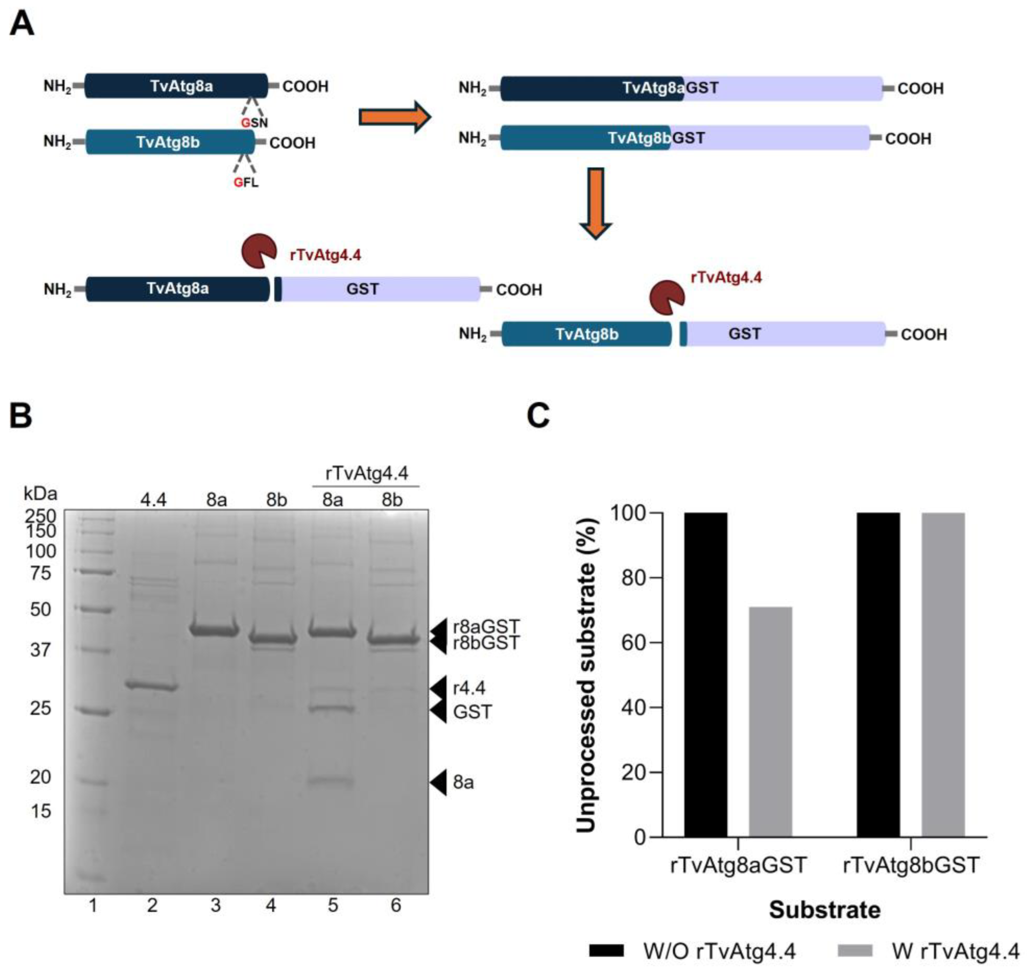 Preprints 189517 g003