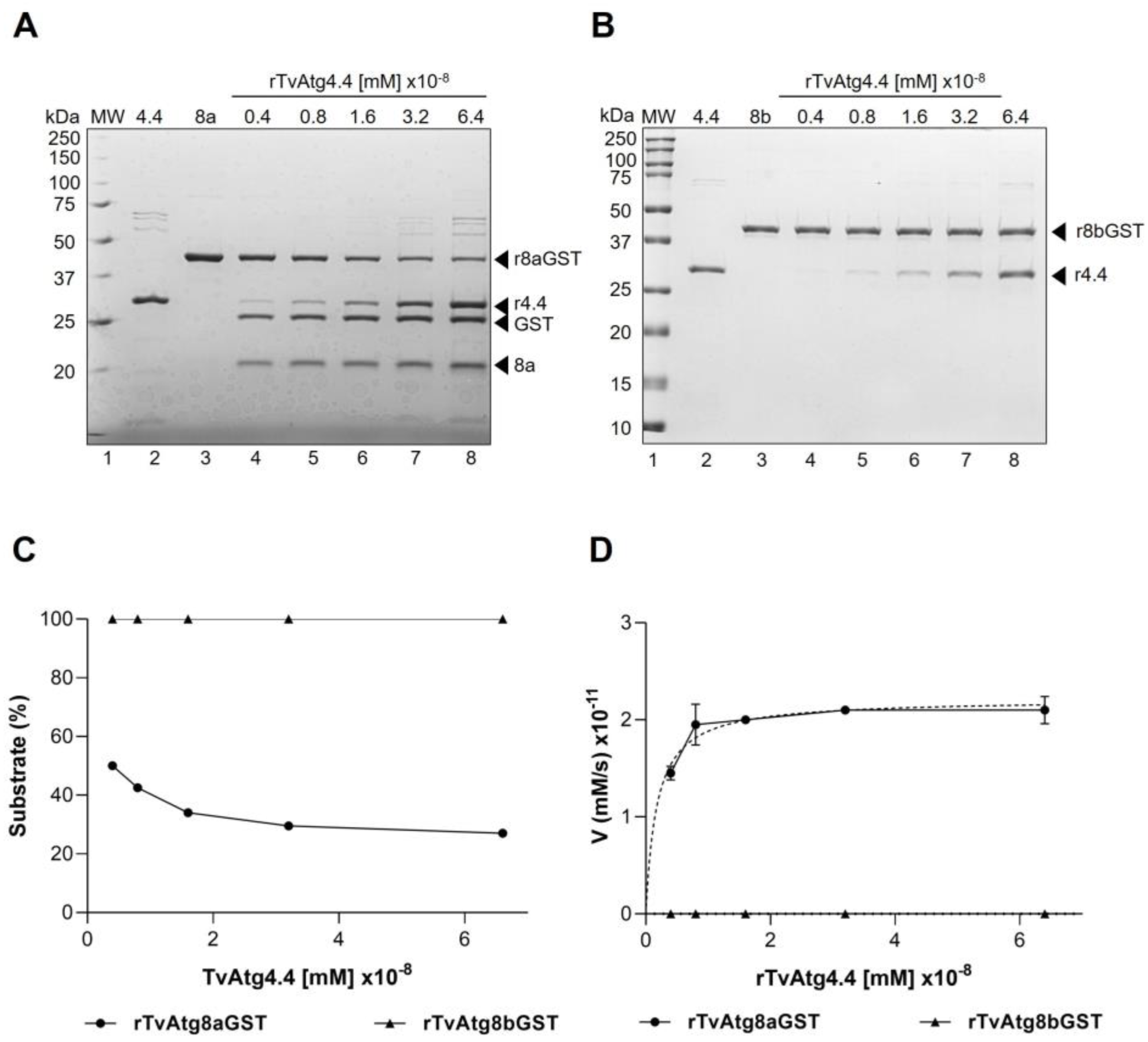 Preprints 189517 g004