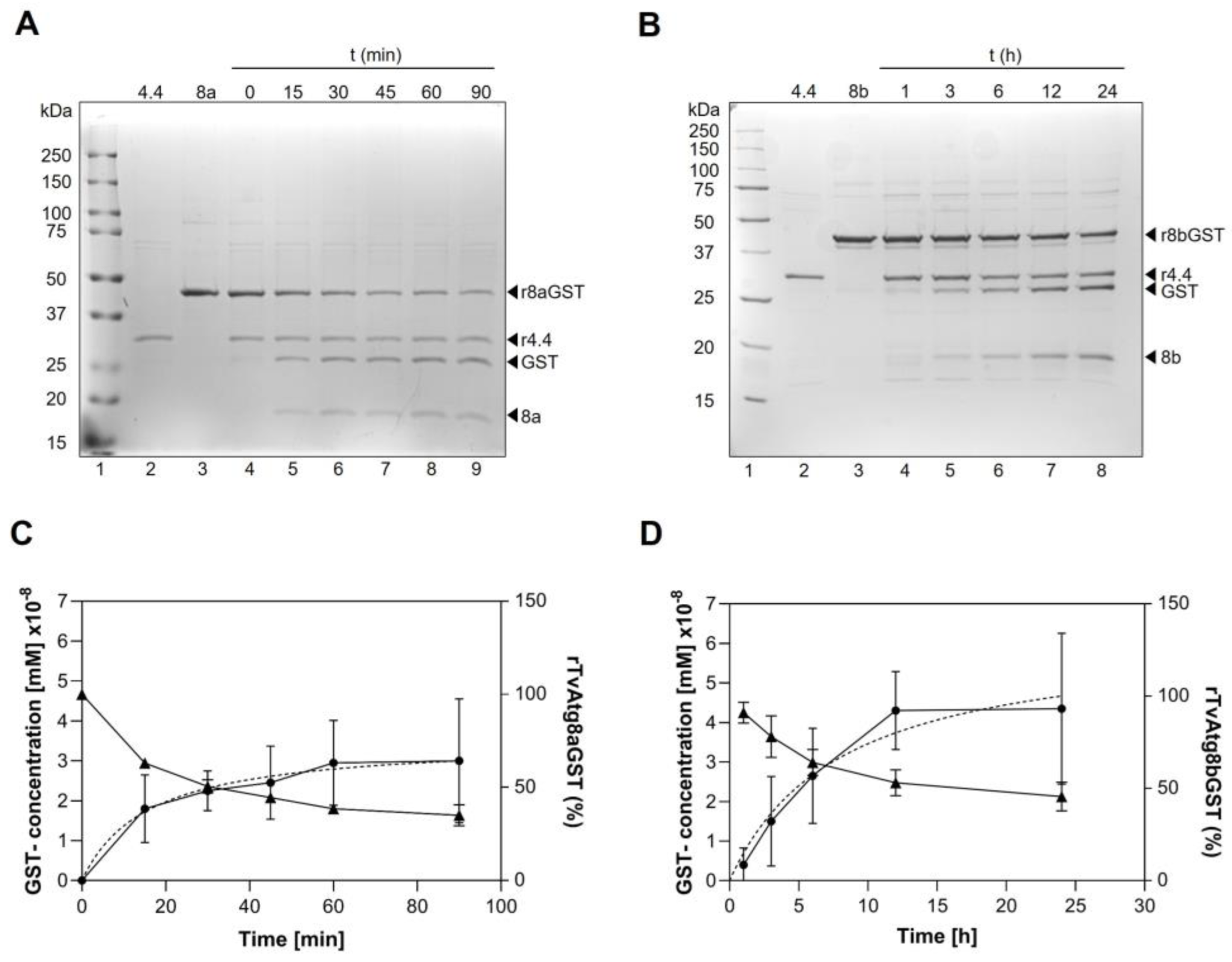 Preprints 189517 g005