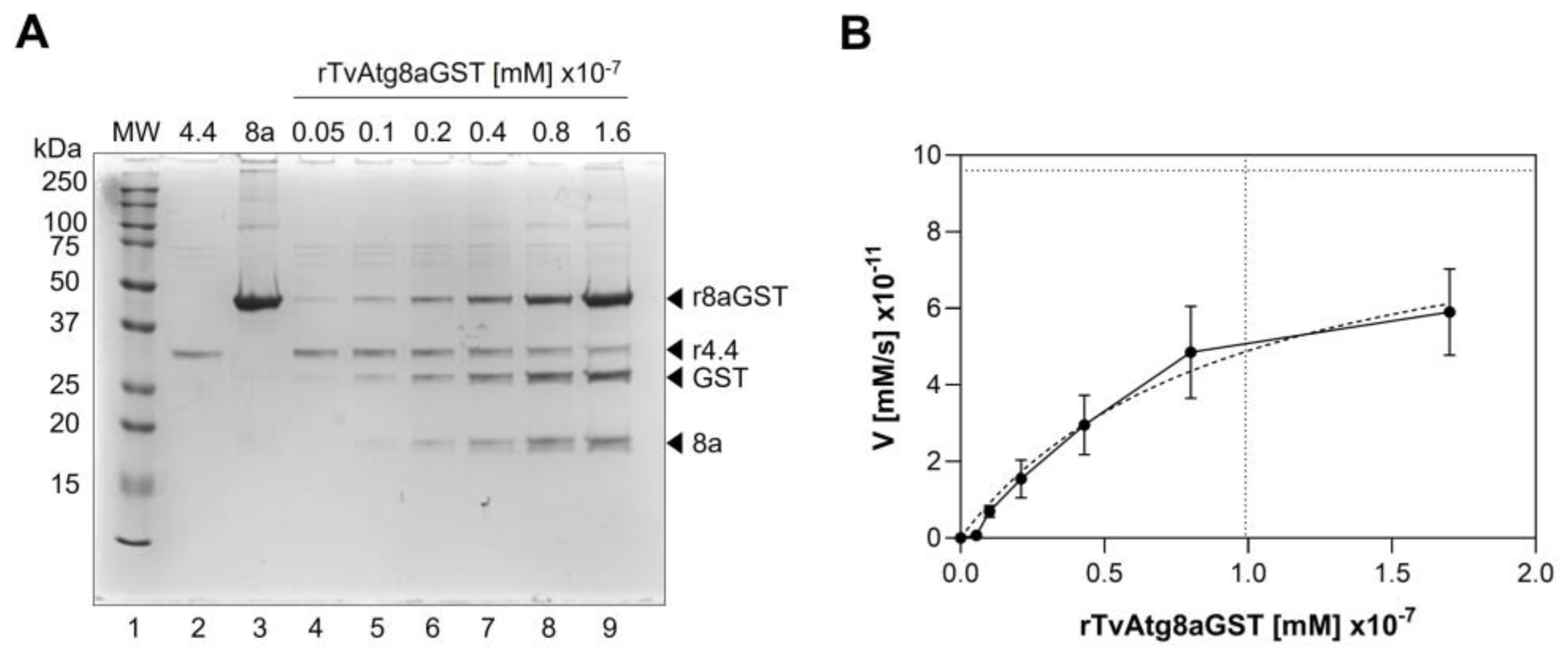 Preprints 189517 g006