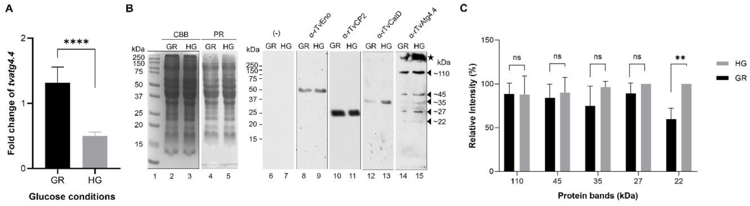 Preprints 189517 g008