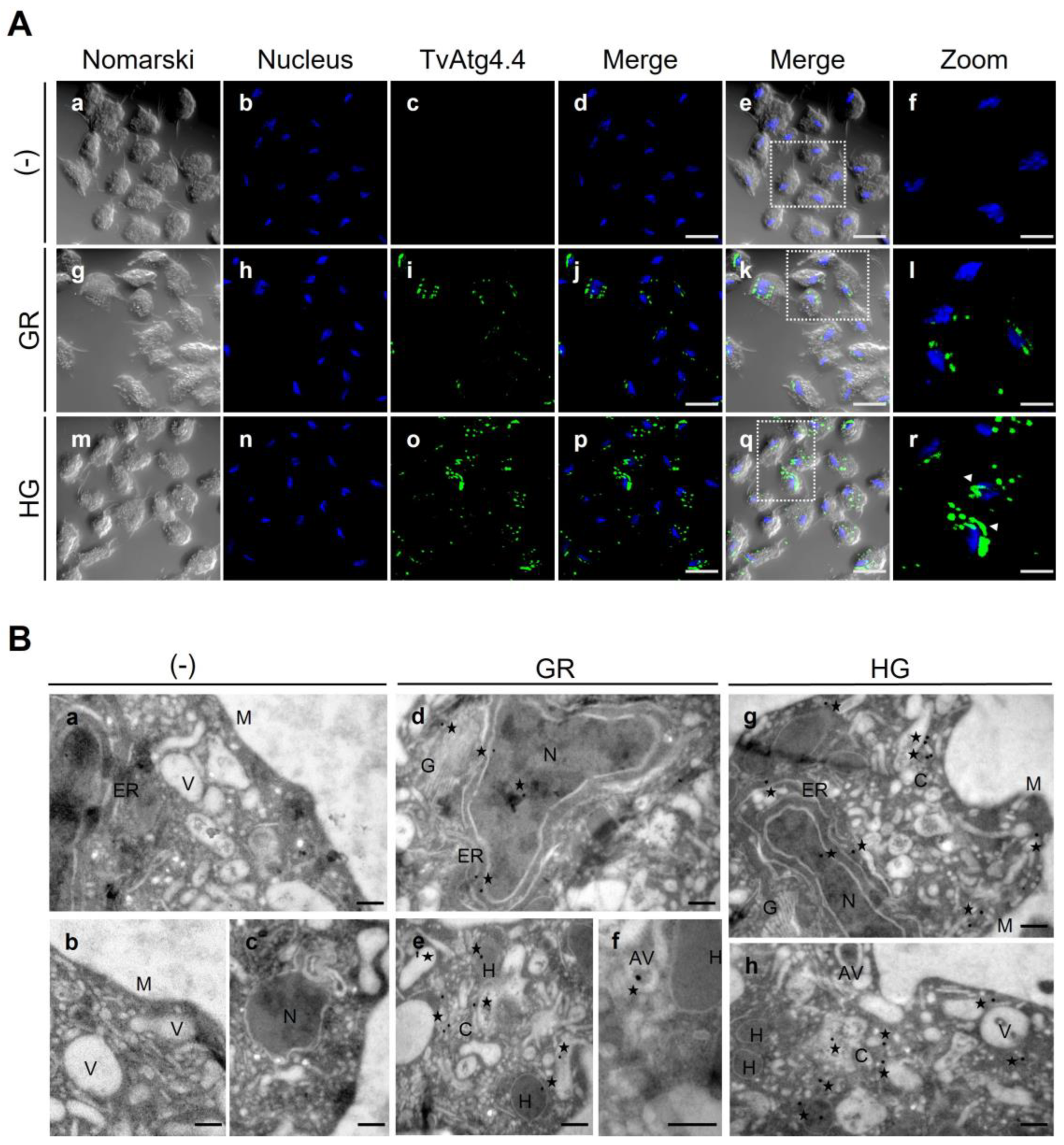 Preprints 189517 g009