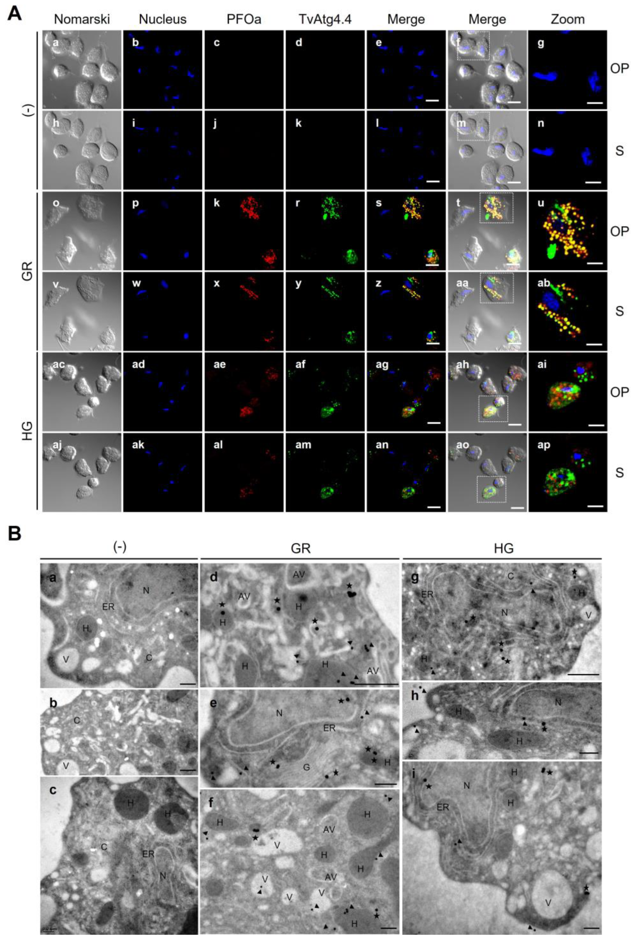 Preprints 189517 g013