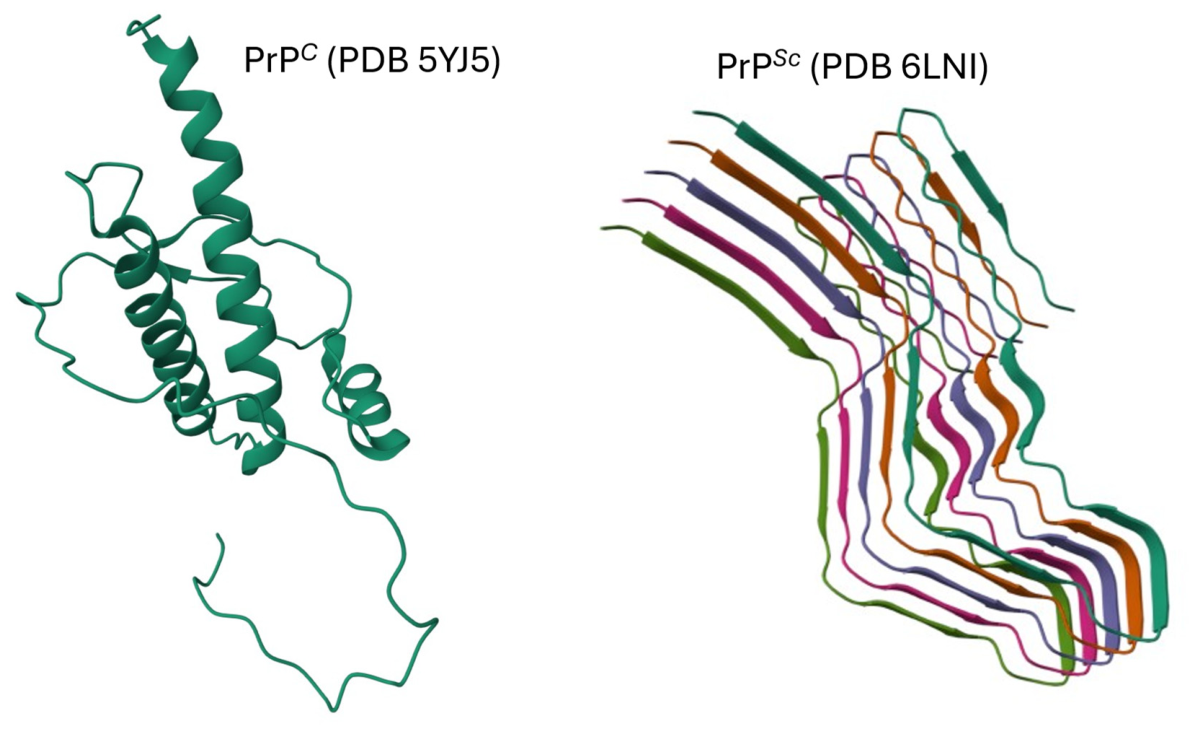 Preprints 227806 g003