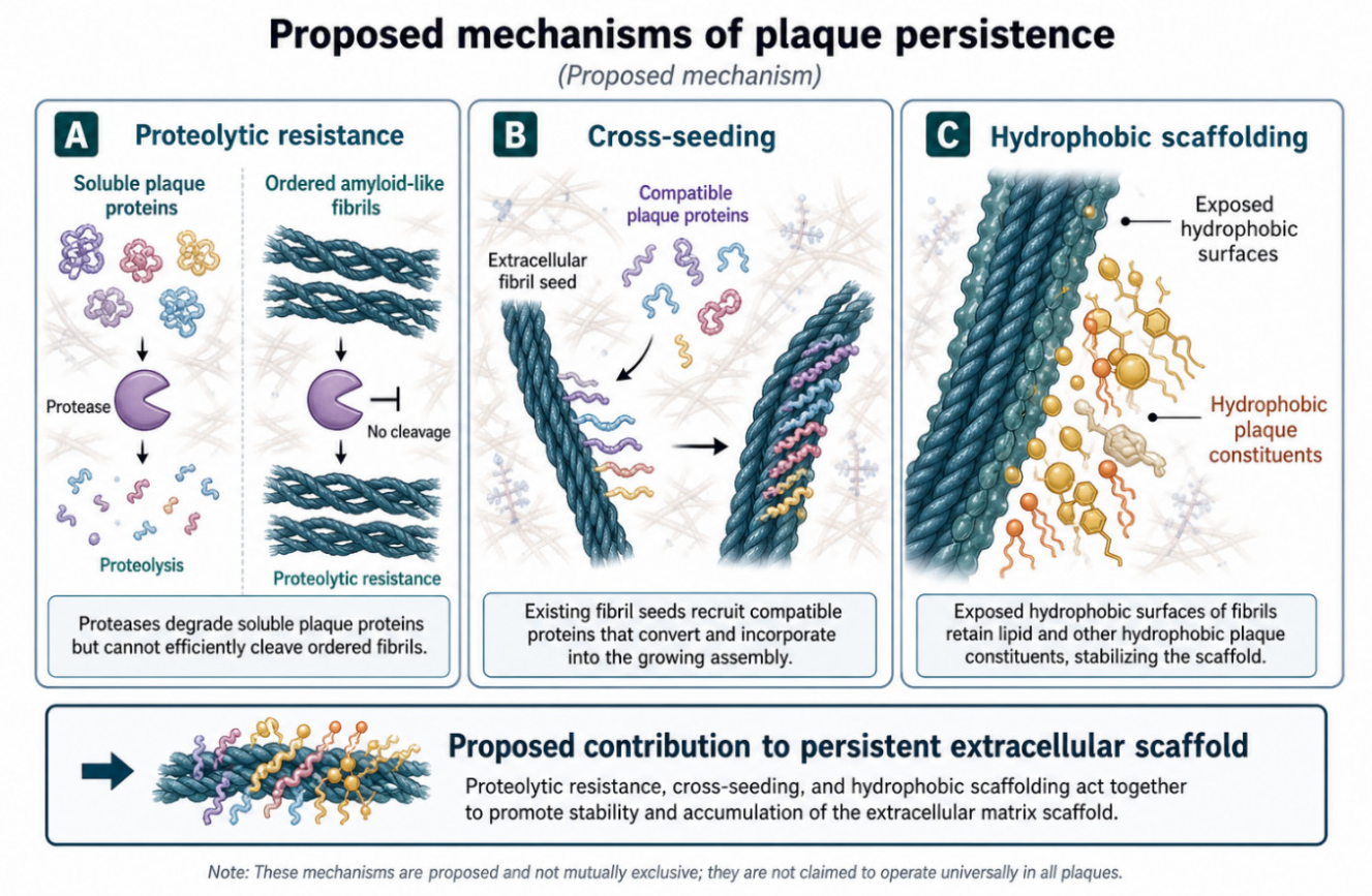 Preprints 227806 g021