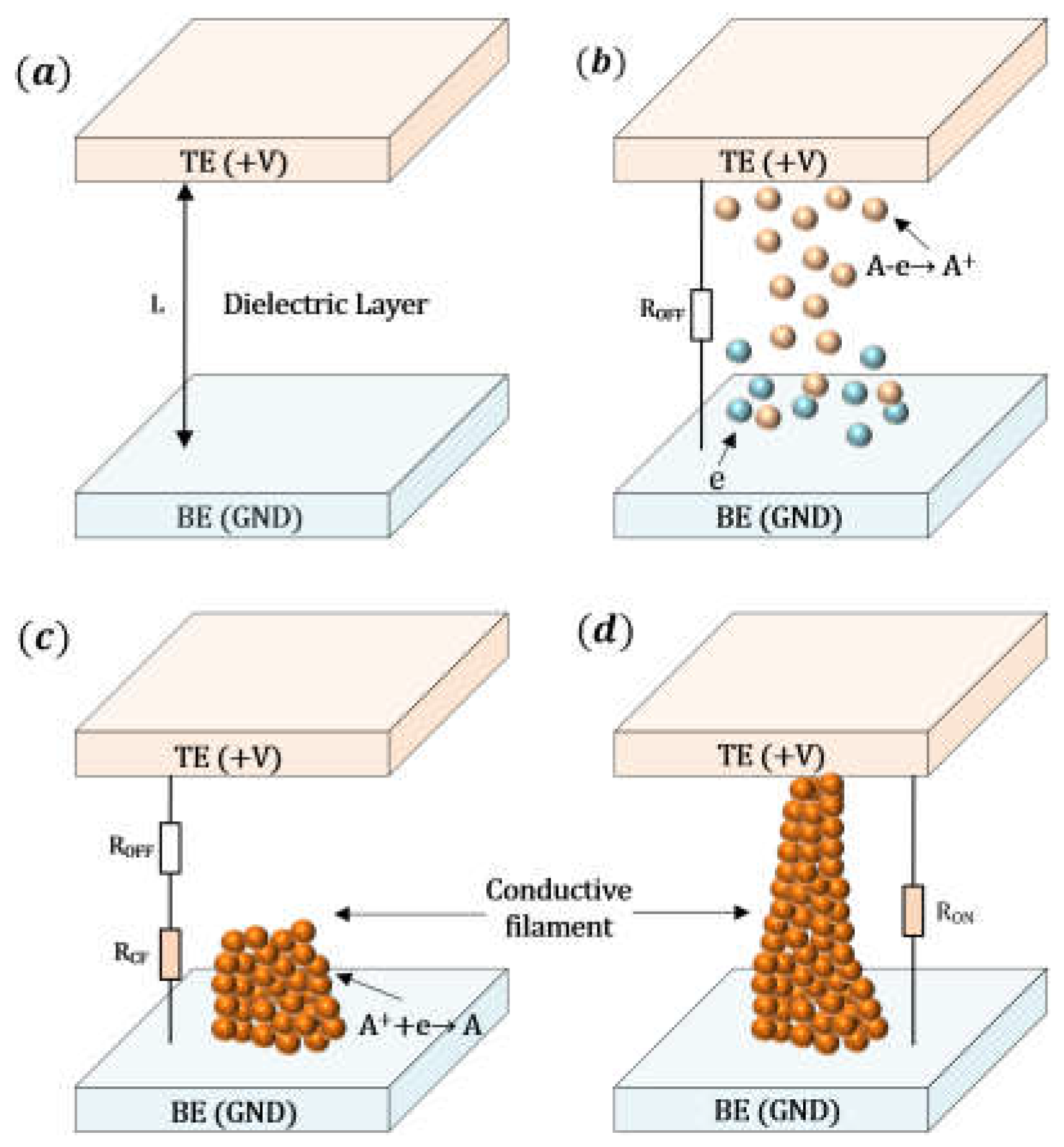 Preprints 161572 g002
