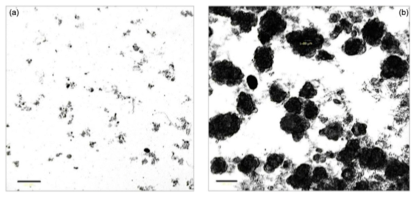 Preprints 229243 g001