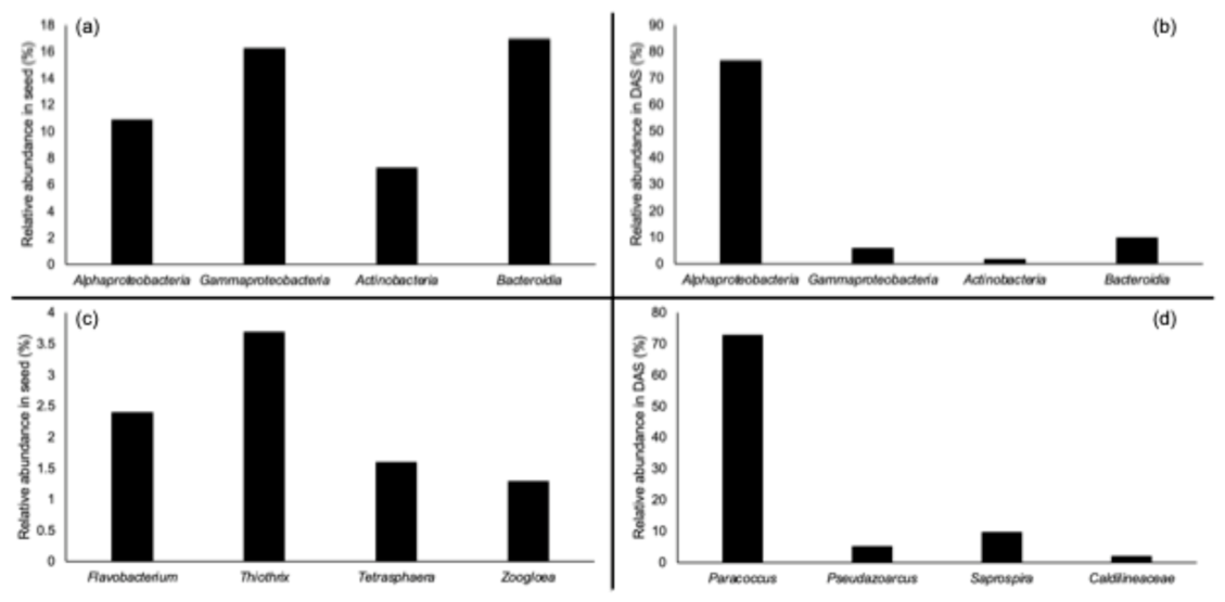 Preprints 229243 g004