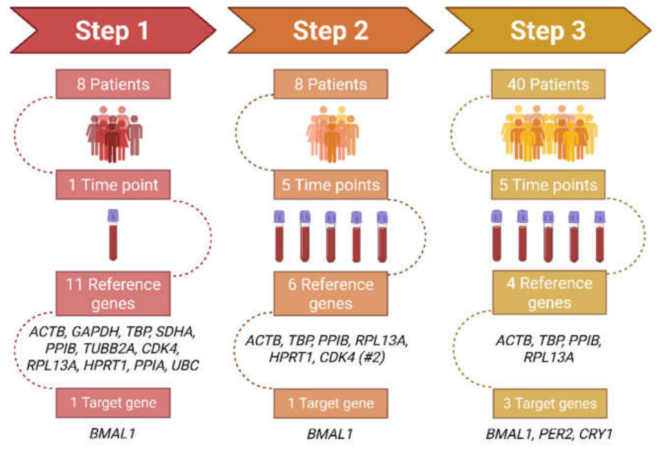 Preprints 217703 g001