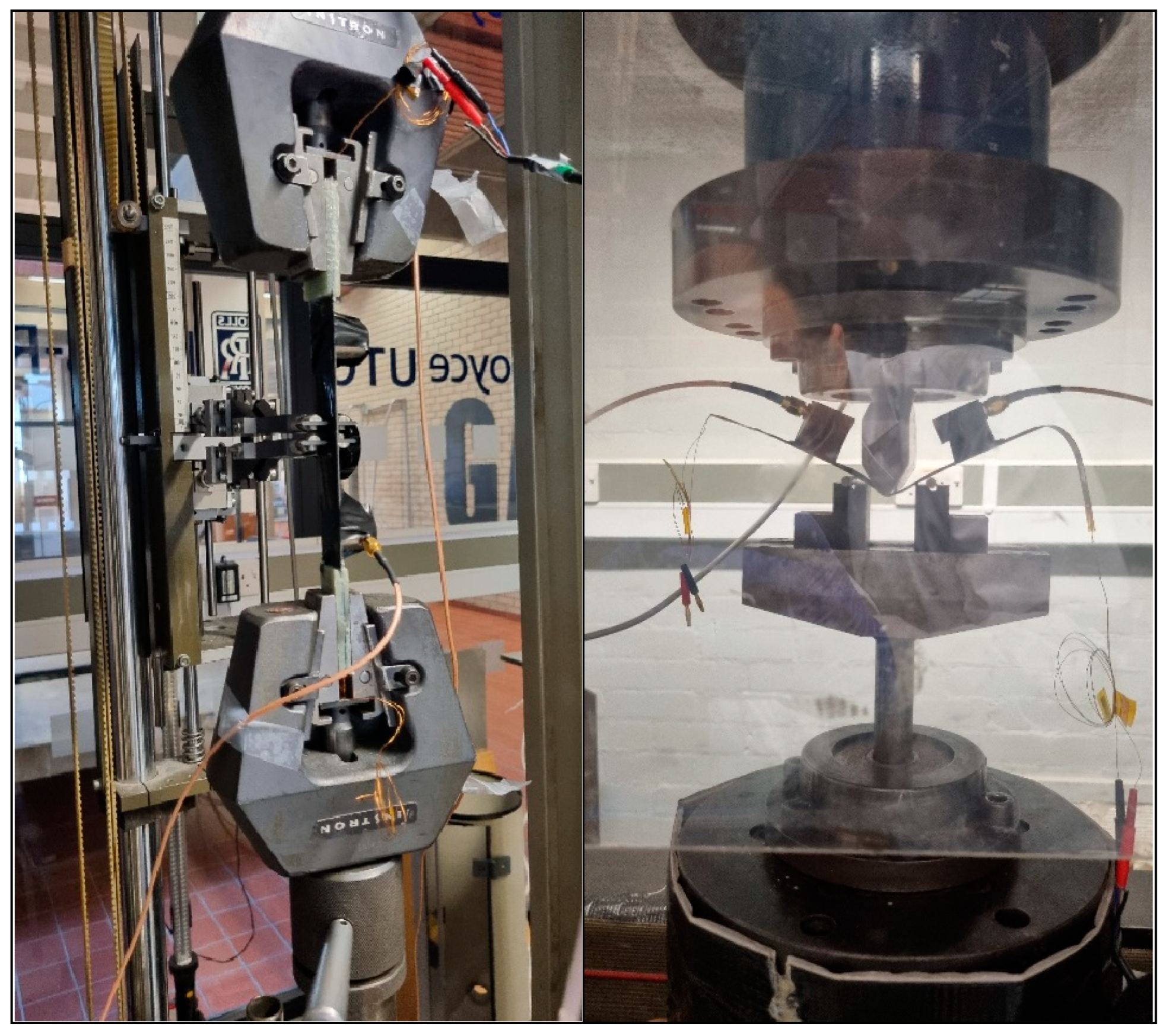 Preprints 144150 g002