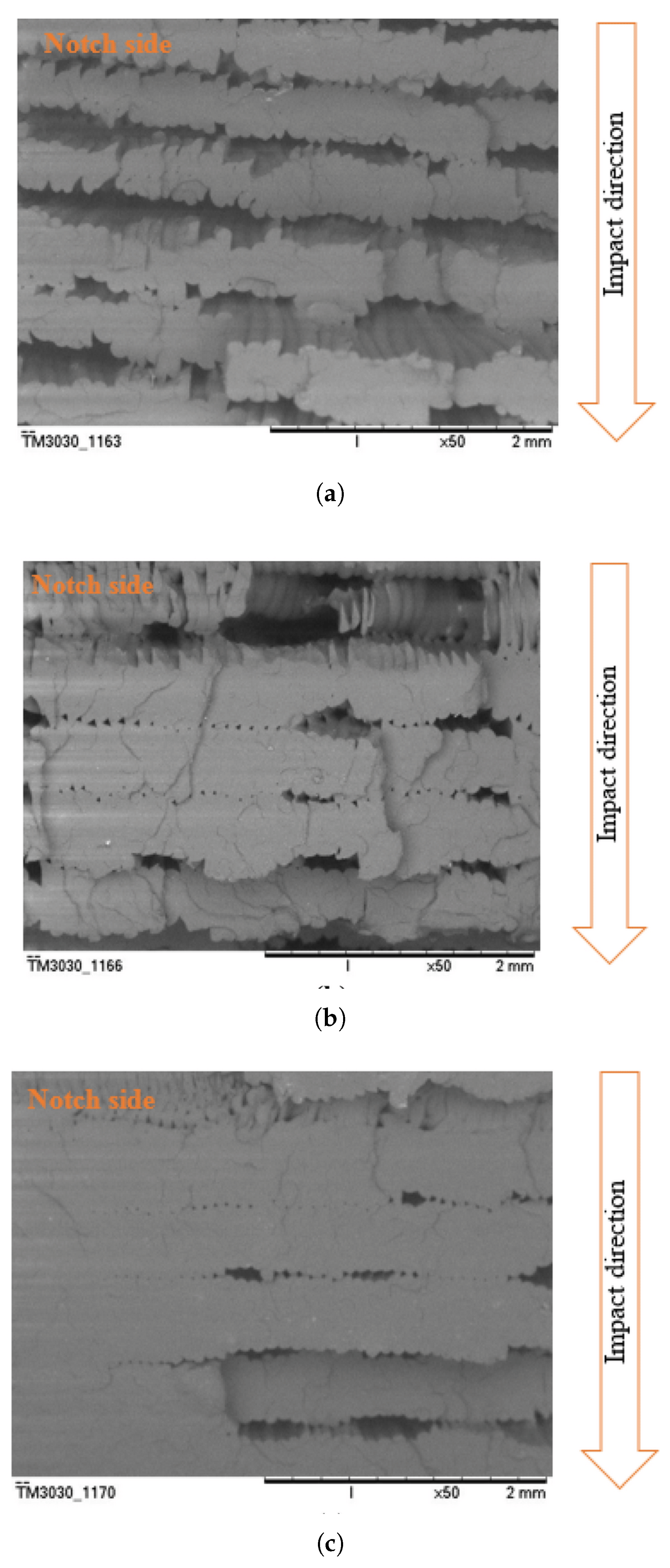 Preprints 181552 g004