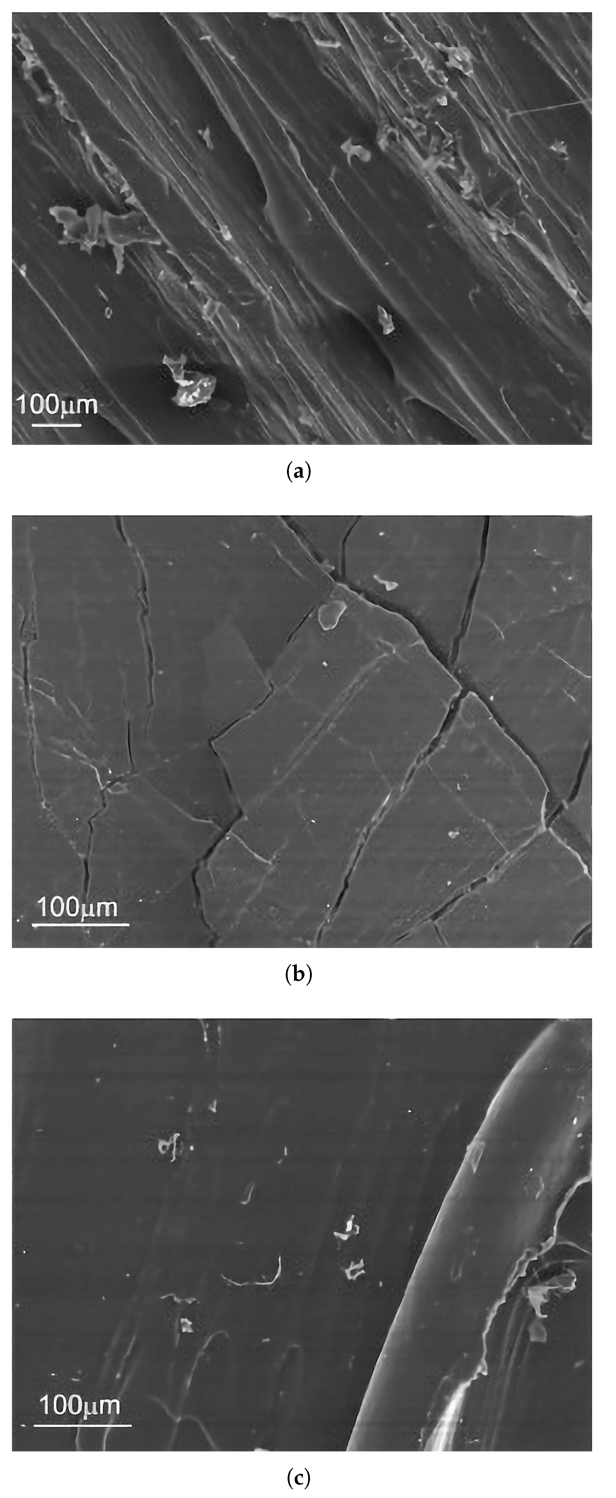 Preprints 181552 g006