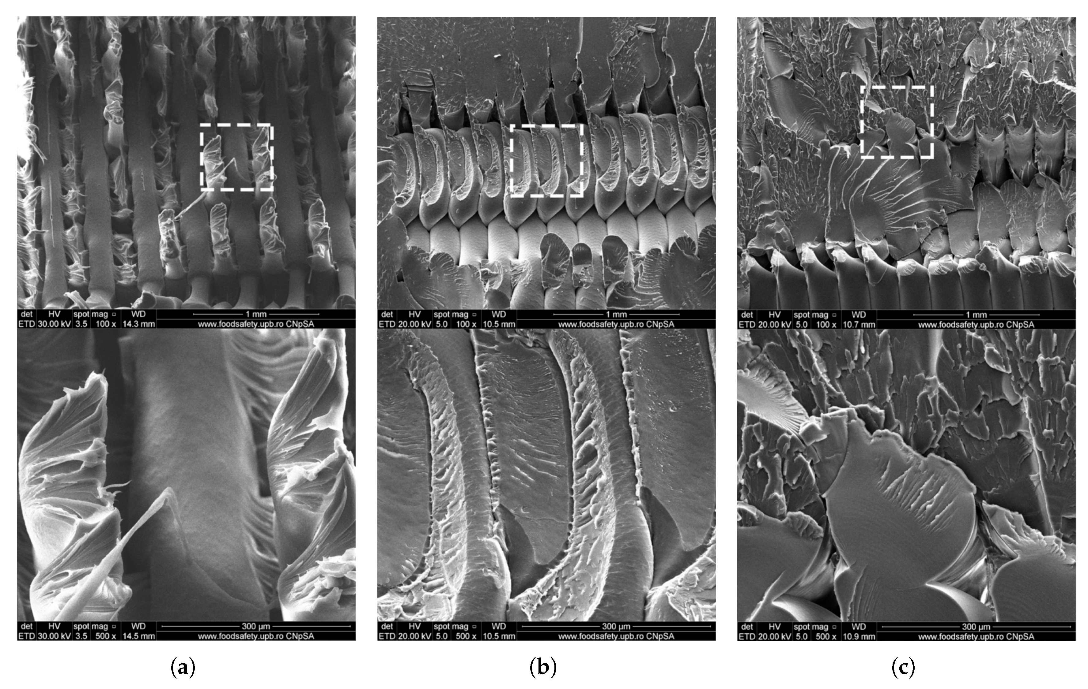Preprints 181552 g007