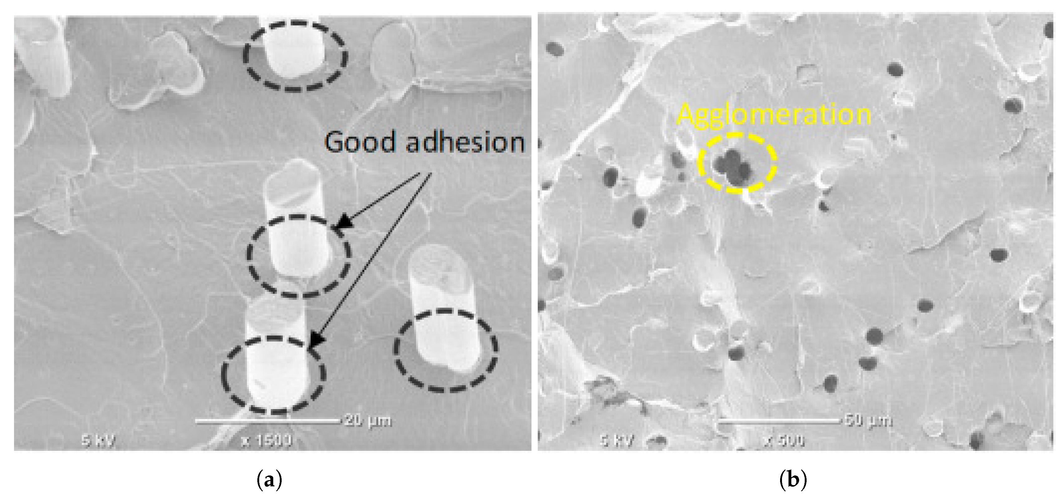Preprints 181552 g008