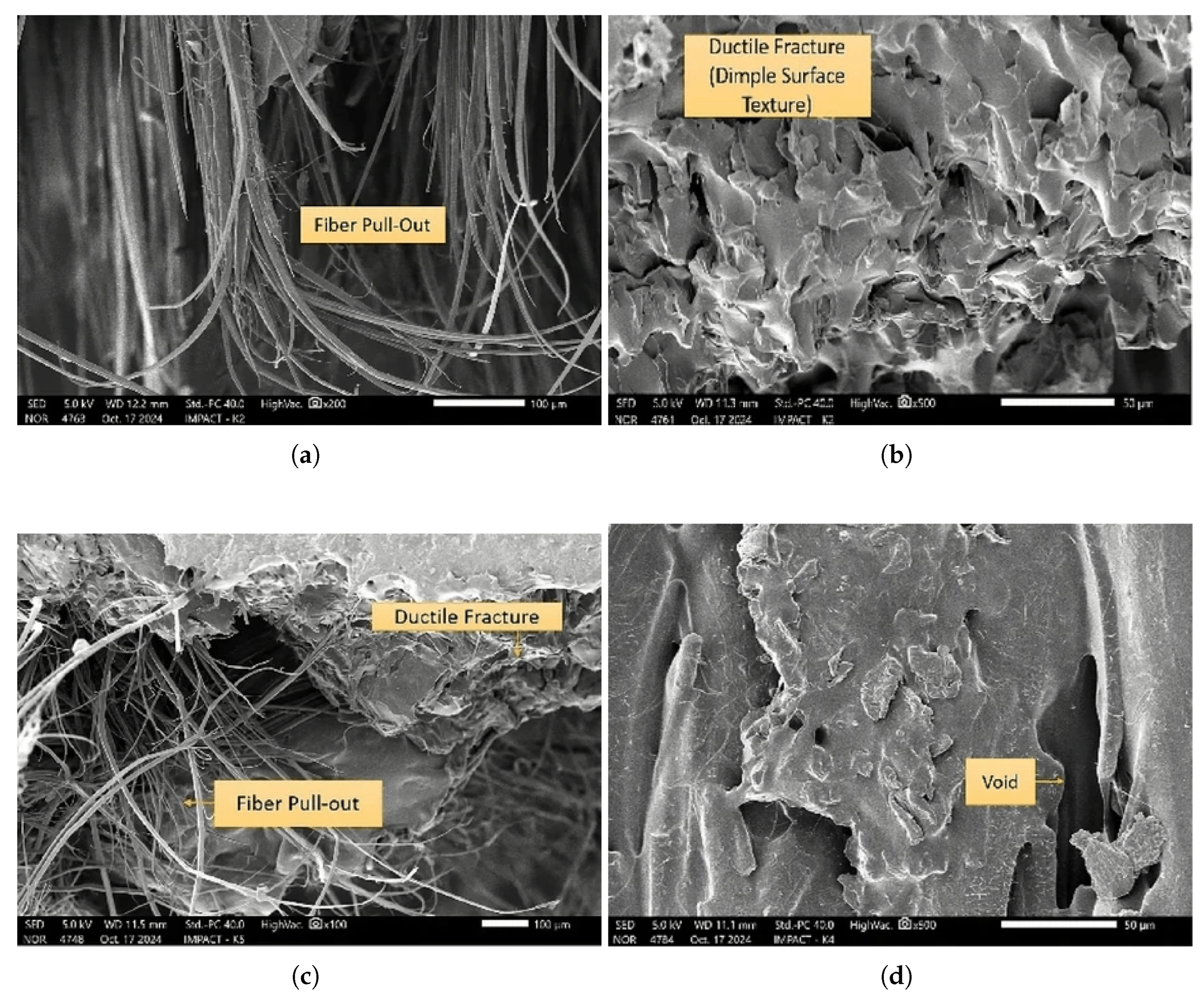 Preprints 181552 g010