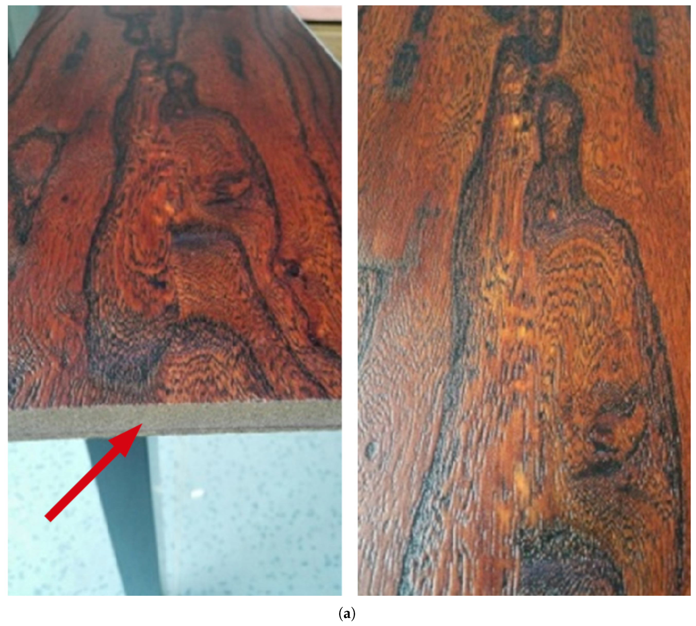 Preprints 181552 g011