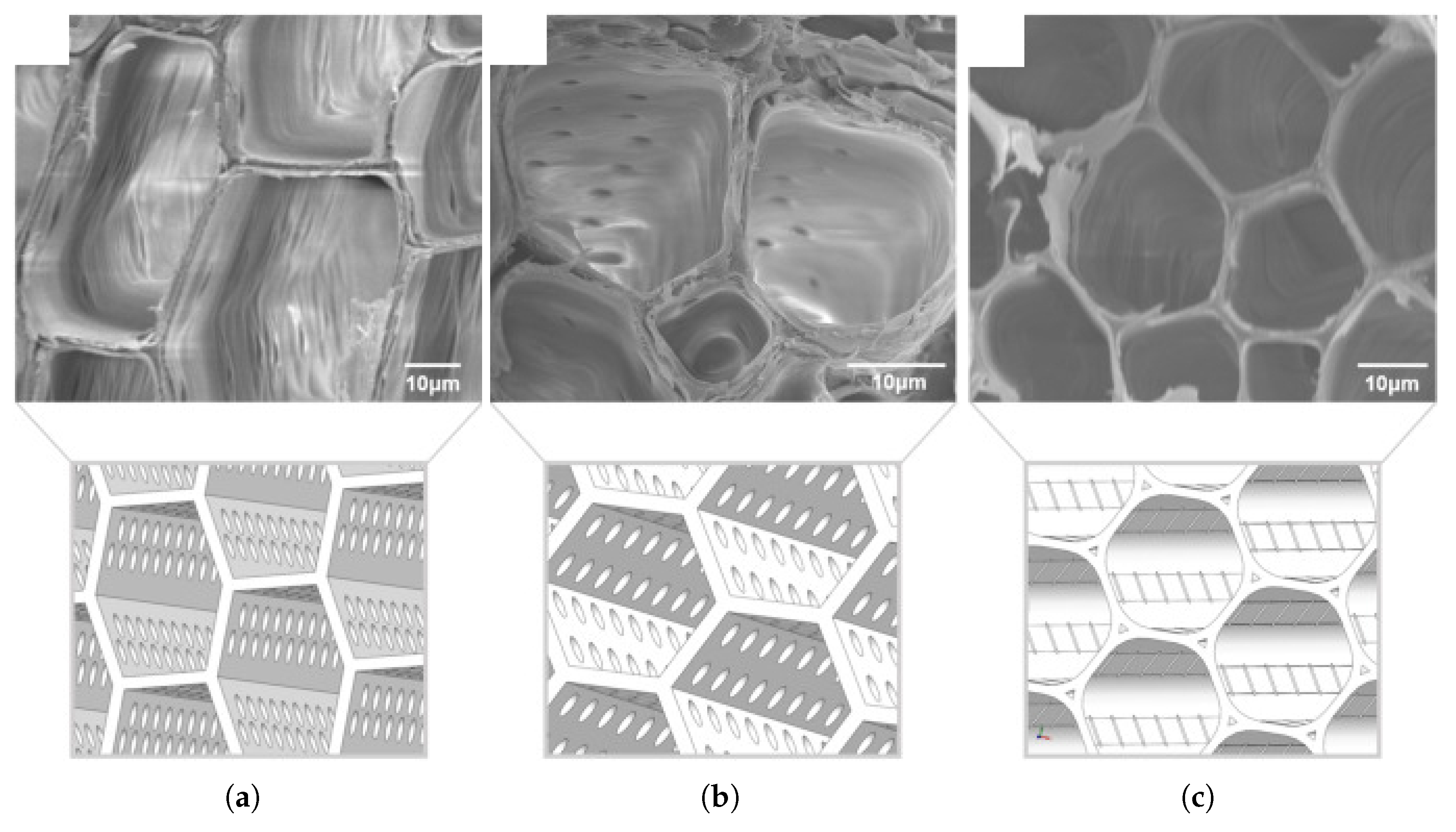 Preprints 181552 g012