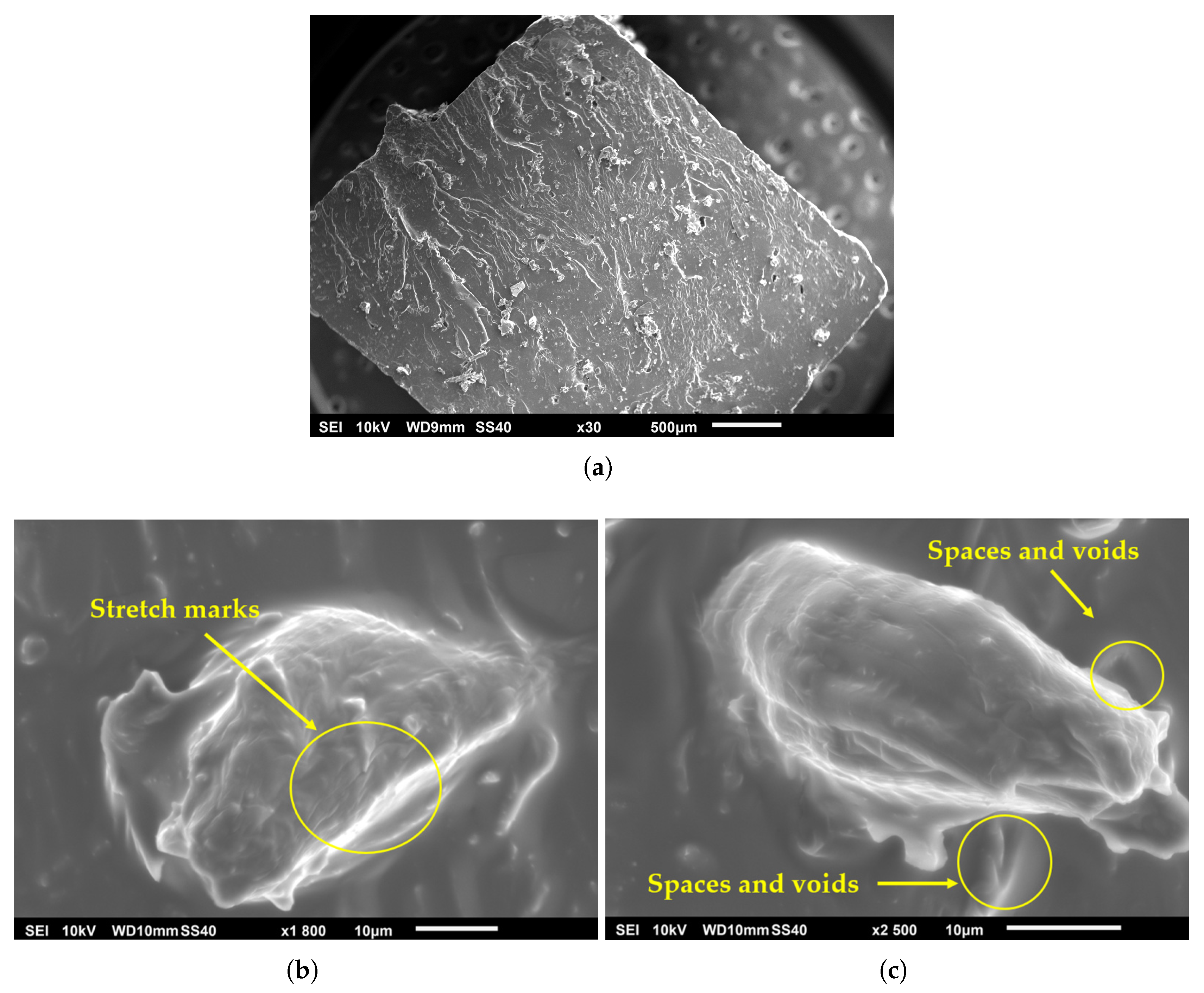 Preprints 181552 g014
