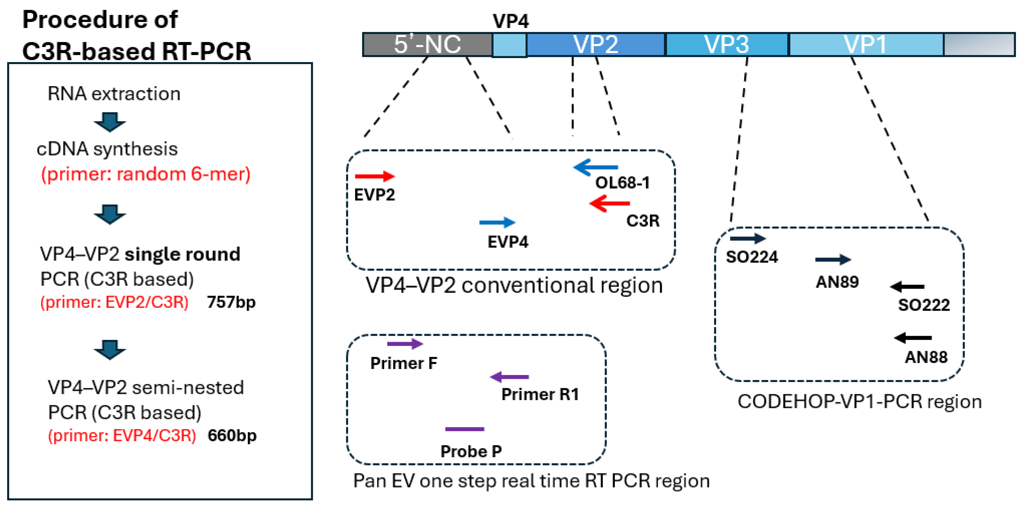Preprints 203579 g001
