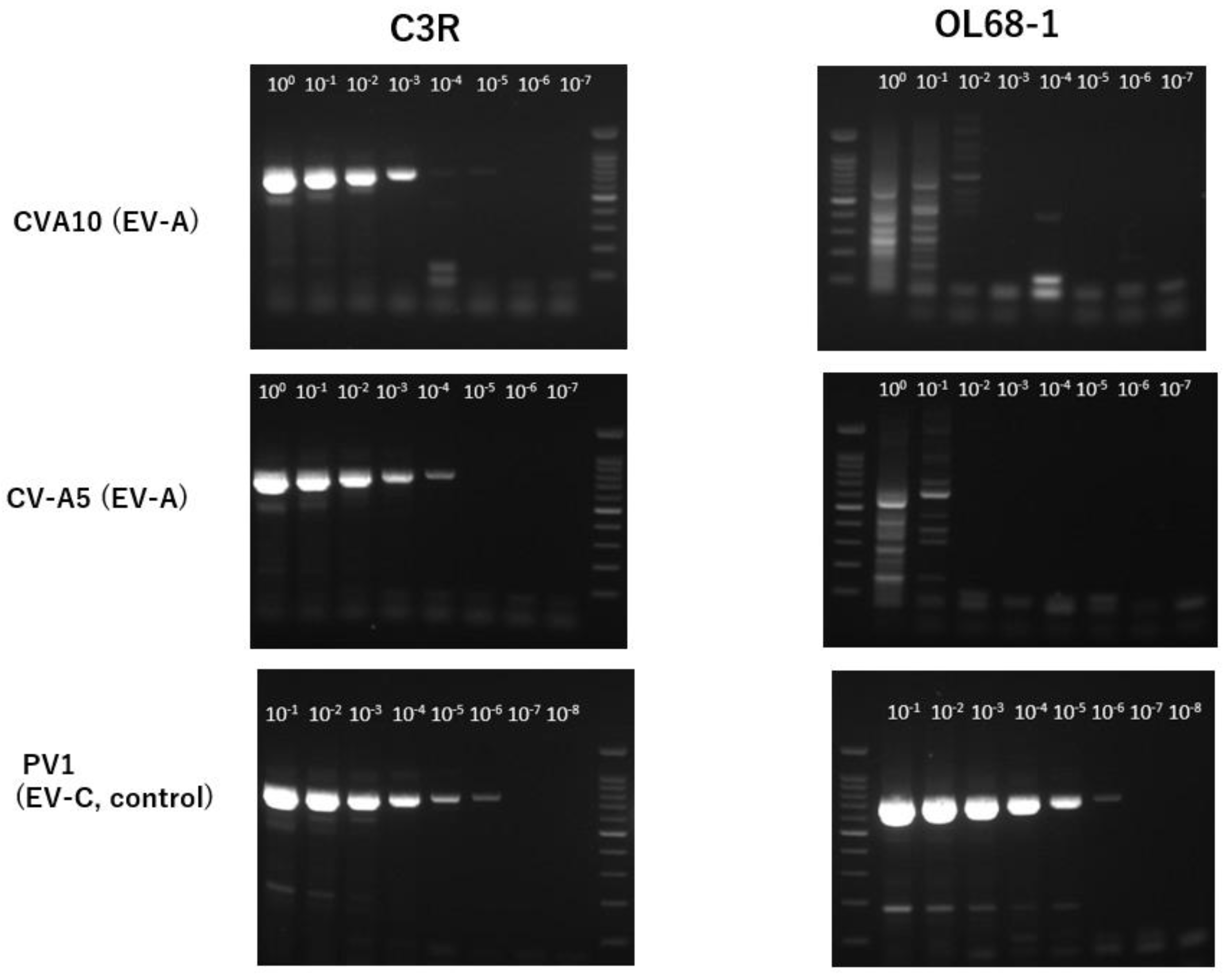 Preprints 203579 g002