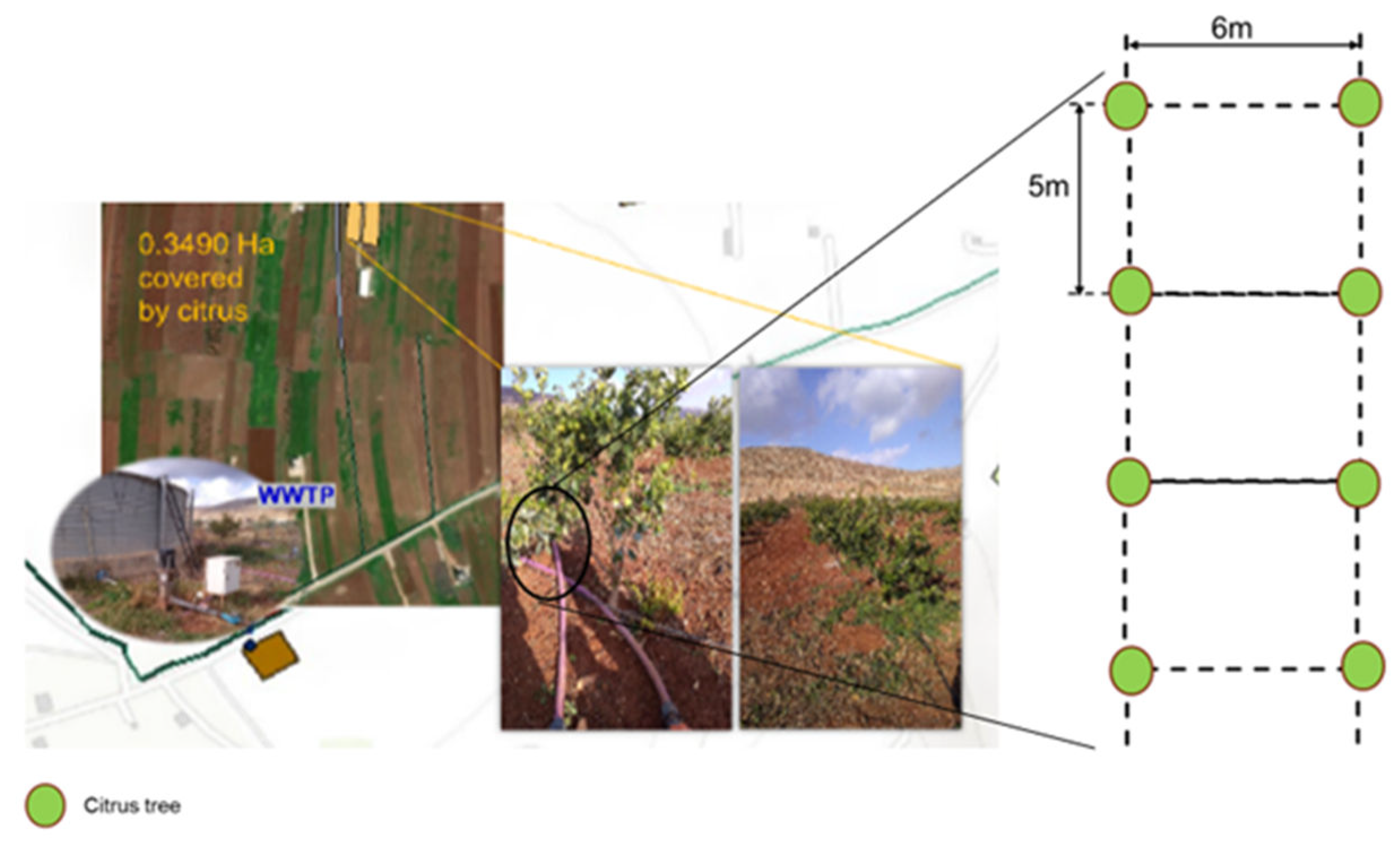 Preprints 141042 g002