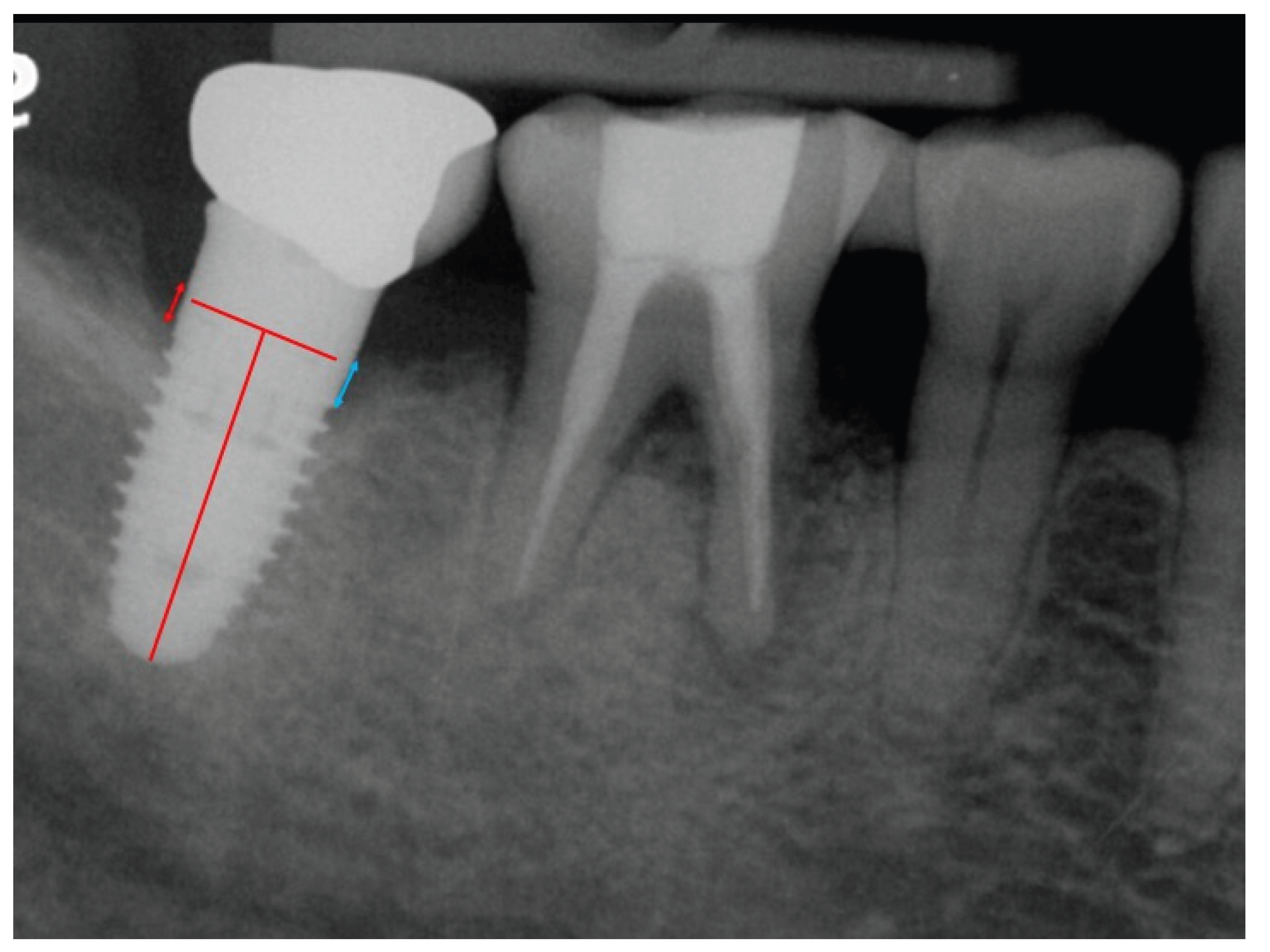 Preprints 189039 g003