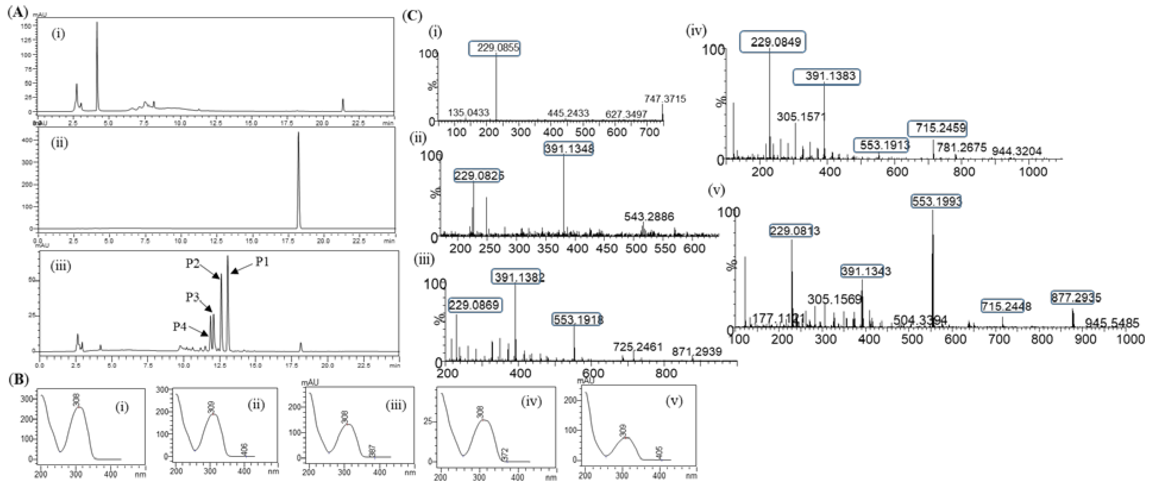 Preprints 74653 g002