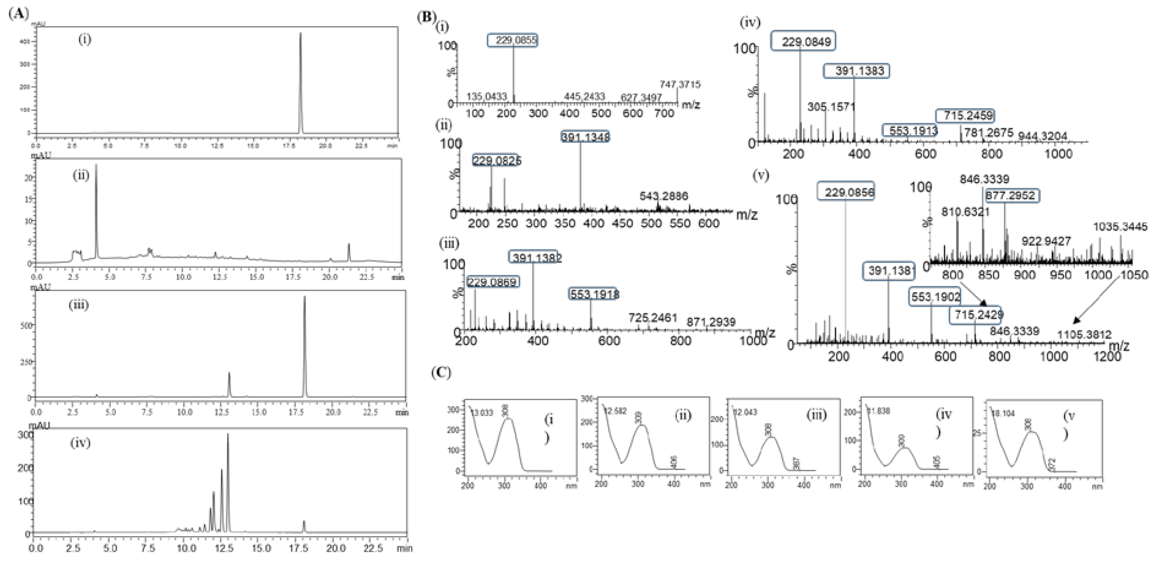 Preprints 74653 g005