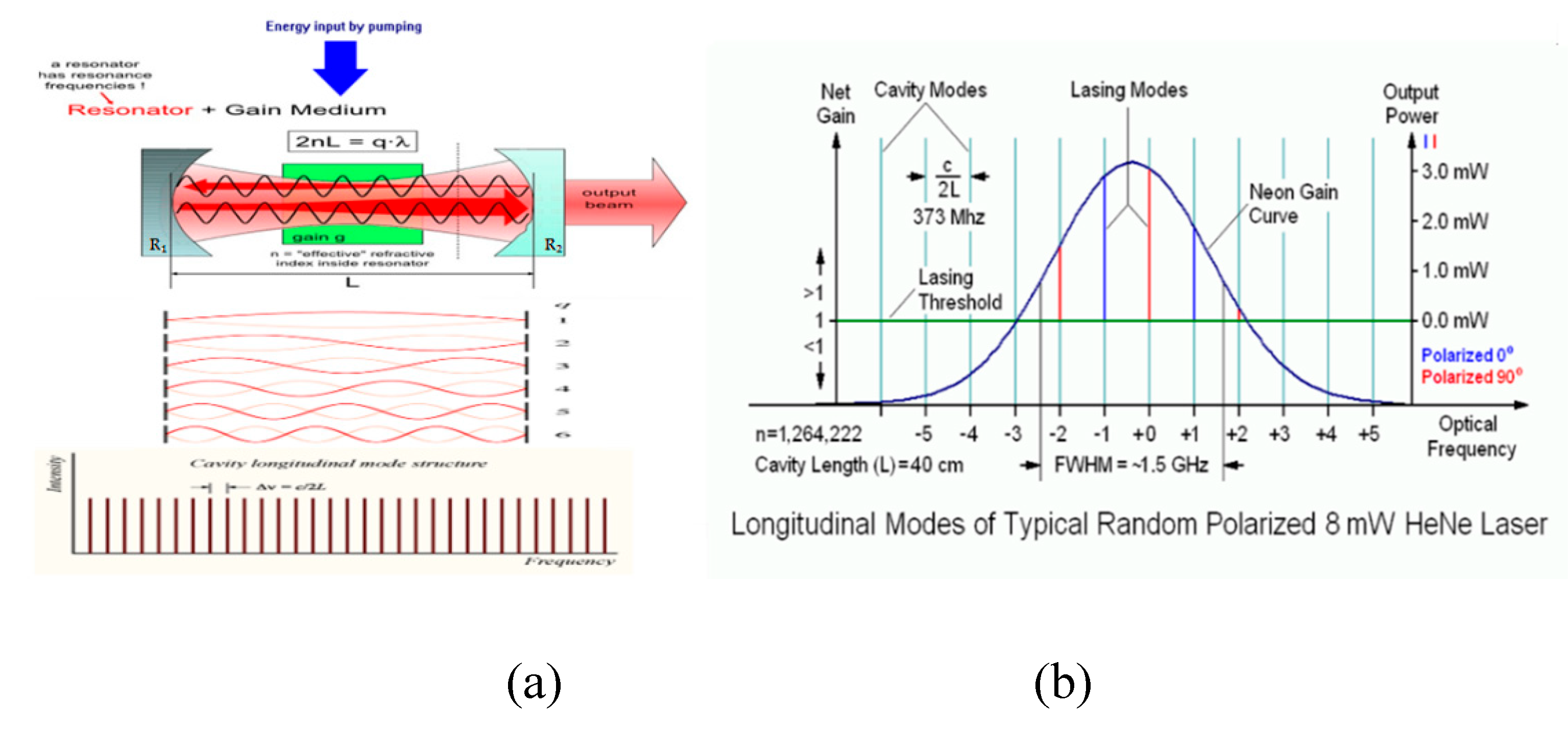 Preprints 109145 g002